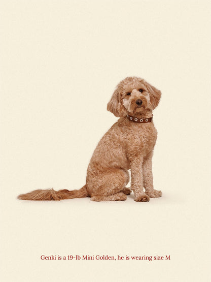 Little Beast Dog Collar Flower Power Collar - Hazel