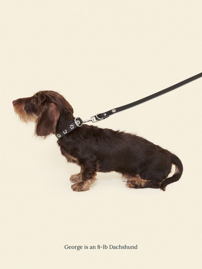 Little Beast Dog Leash ONESIZE Flower Power Leash - Midnight