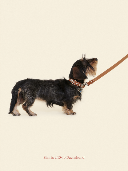 Little Beast Dog Leash ONESIZE Hazel - Flower Power Leash