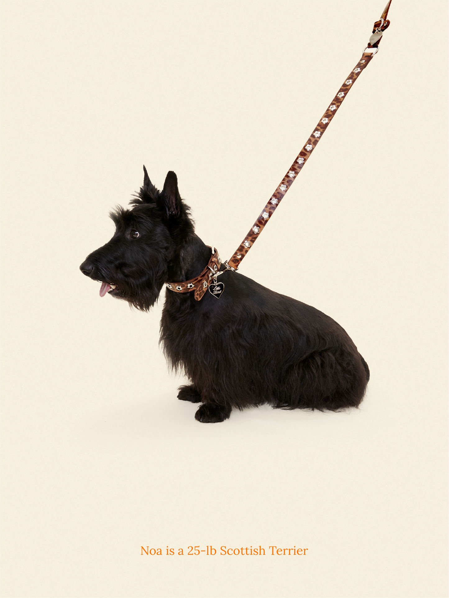 Little Beast Dog Leash Brown / OS Hazel - Flower Power Leash