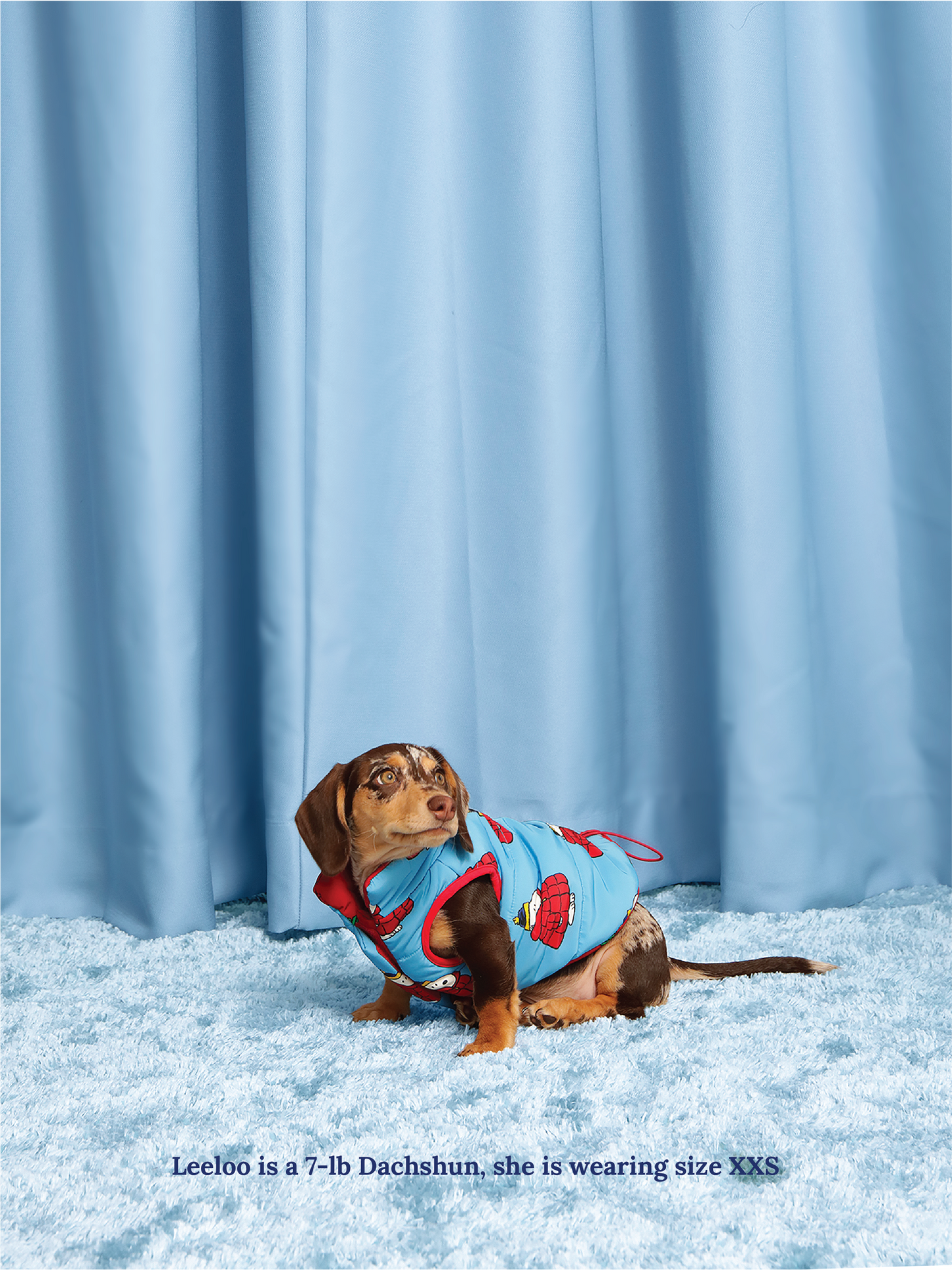 Little Beast Dog Parka Holiday Puffer Jacket - PEANUTS