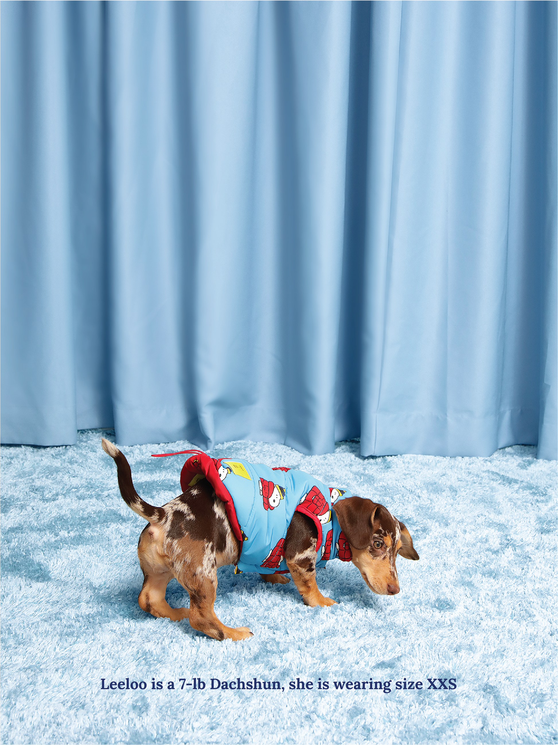 Little Beast Dog Parka Holiday Puffer Jacket - PEANUTS
