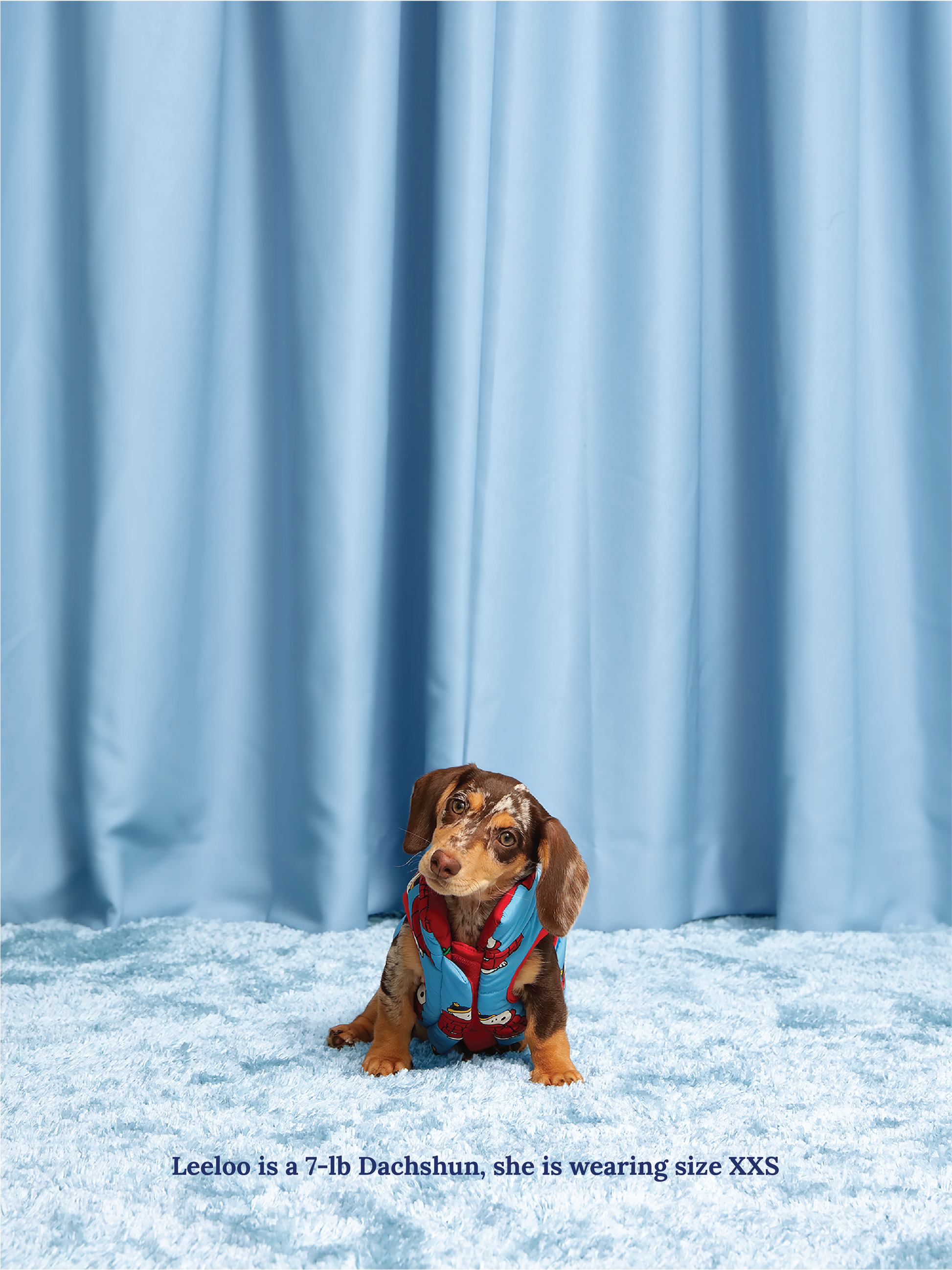 Little Beast Dog Parka Holiday Puffer Jacket - PEANUTS