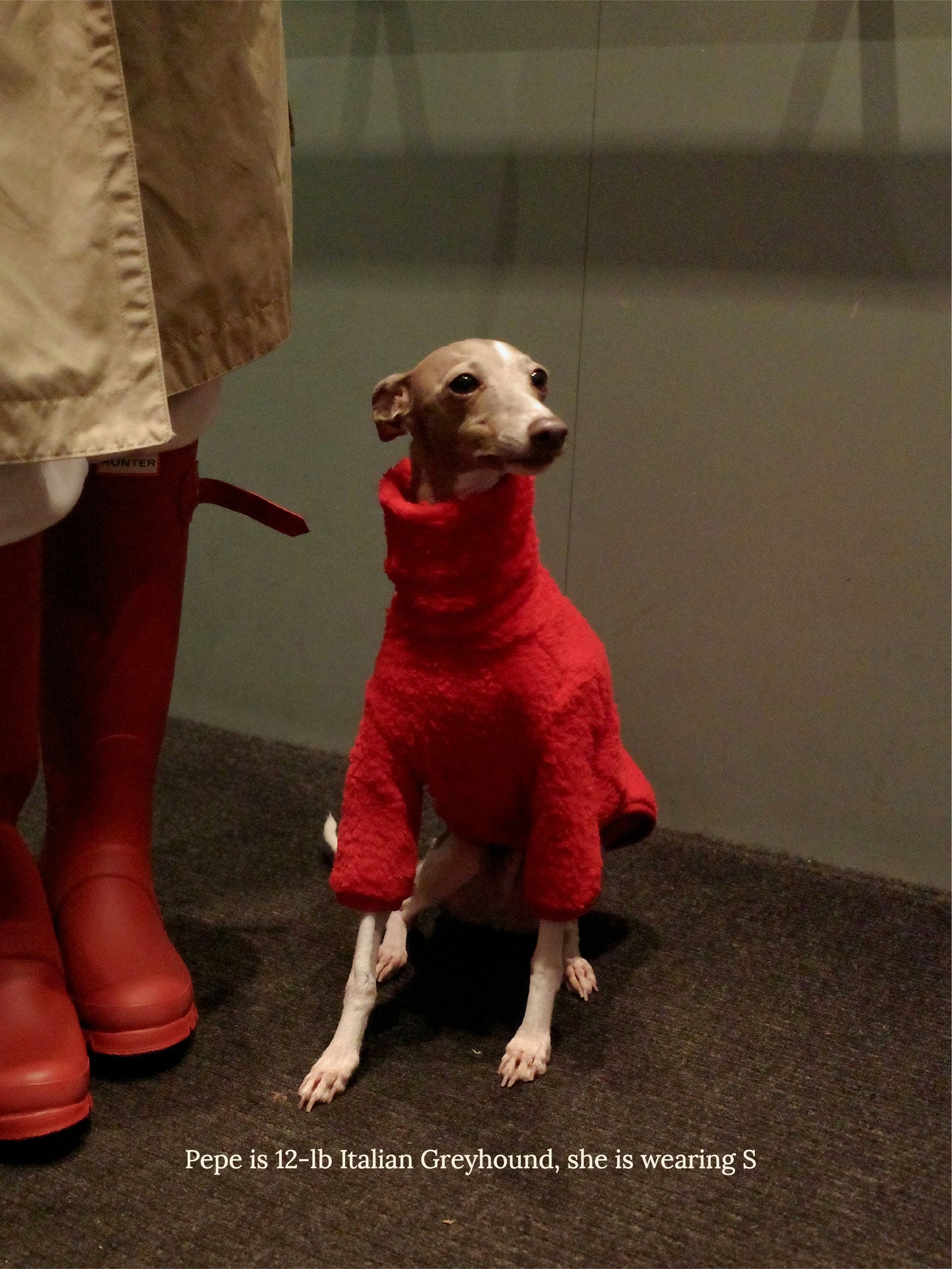 Little Beast Dog Fleece Shirt Hot Sauce Fleece Shirt