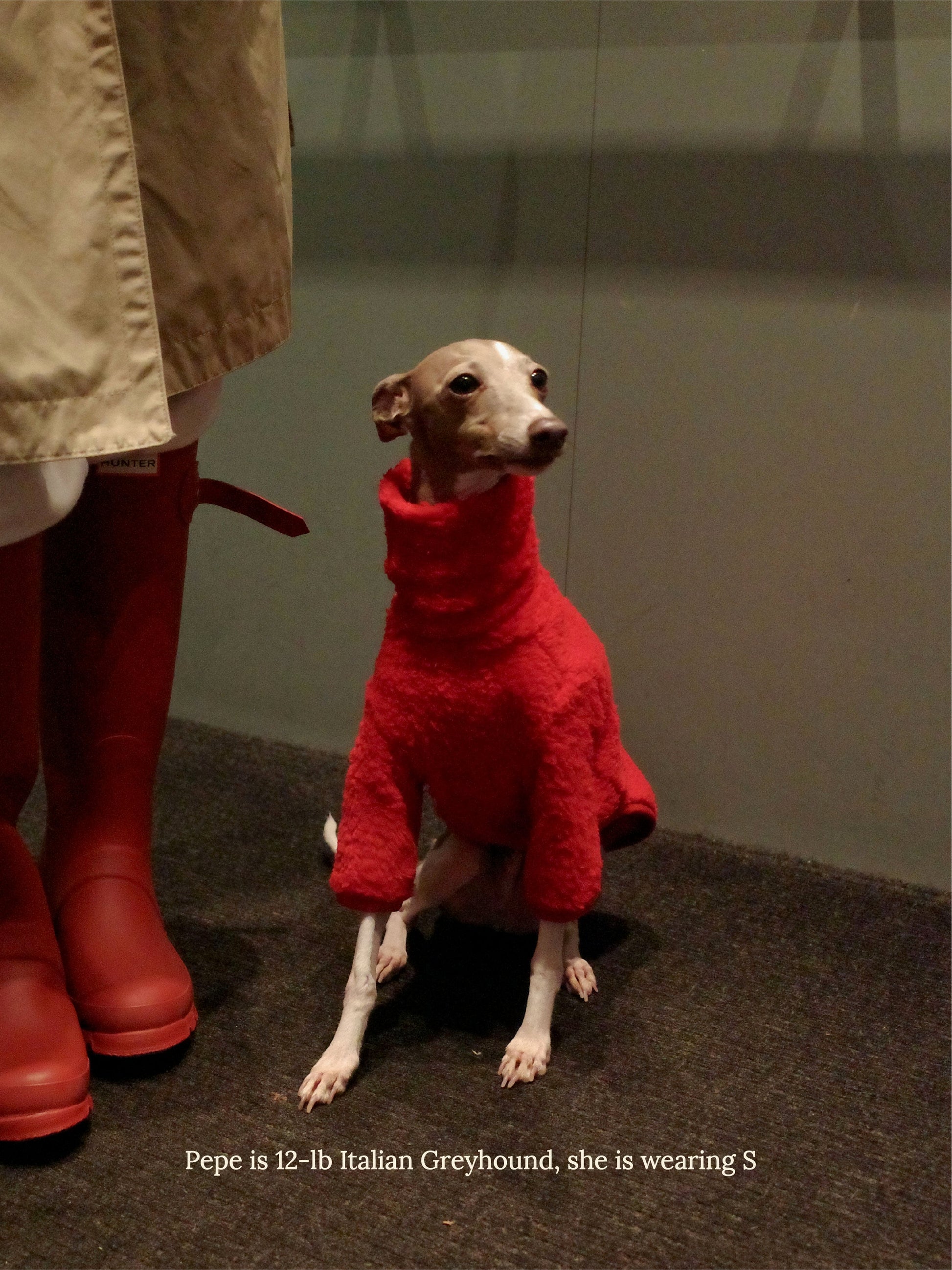 Little Beast Dog Fleece Shirt Hot Sauce Fleece Shirt