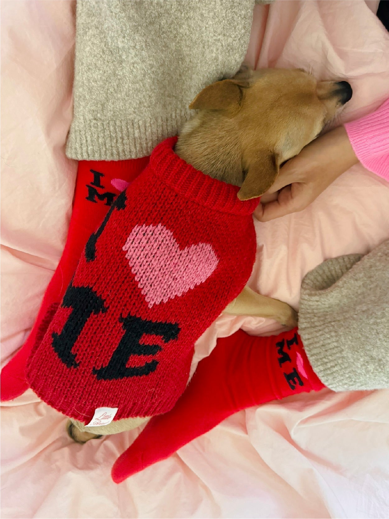 Little Beast Socks I LOVE ME Socks