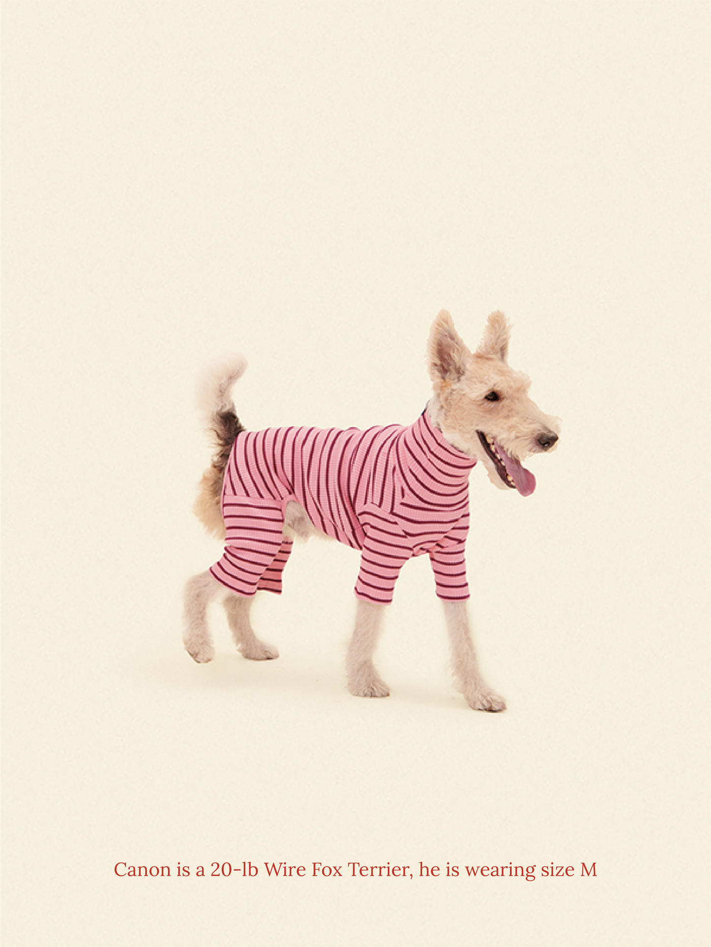 Little Beast Dog Onesie IMU Onesie