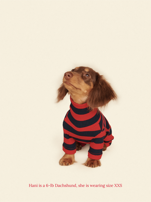 Little Beast Dog Onesie Ivy League Onesie