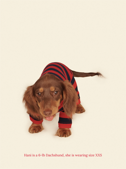 Little Beast Dog Onesie Ivy League Onesie