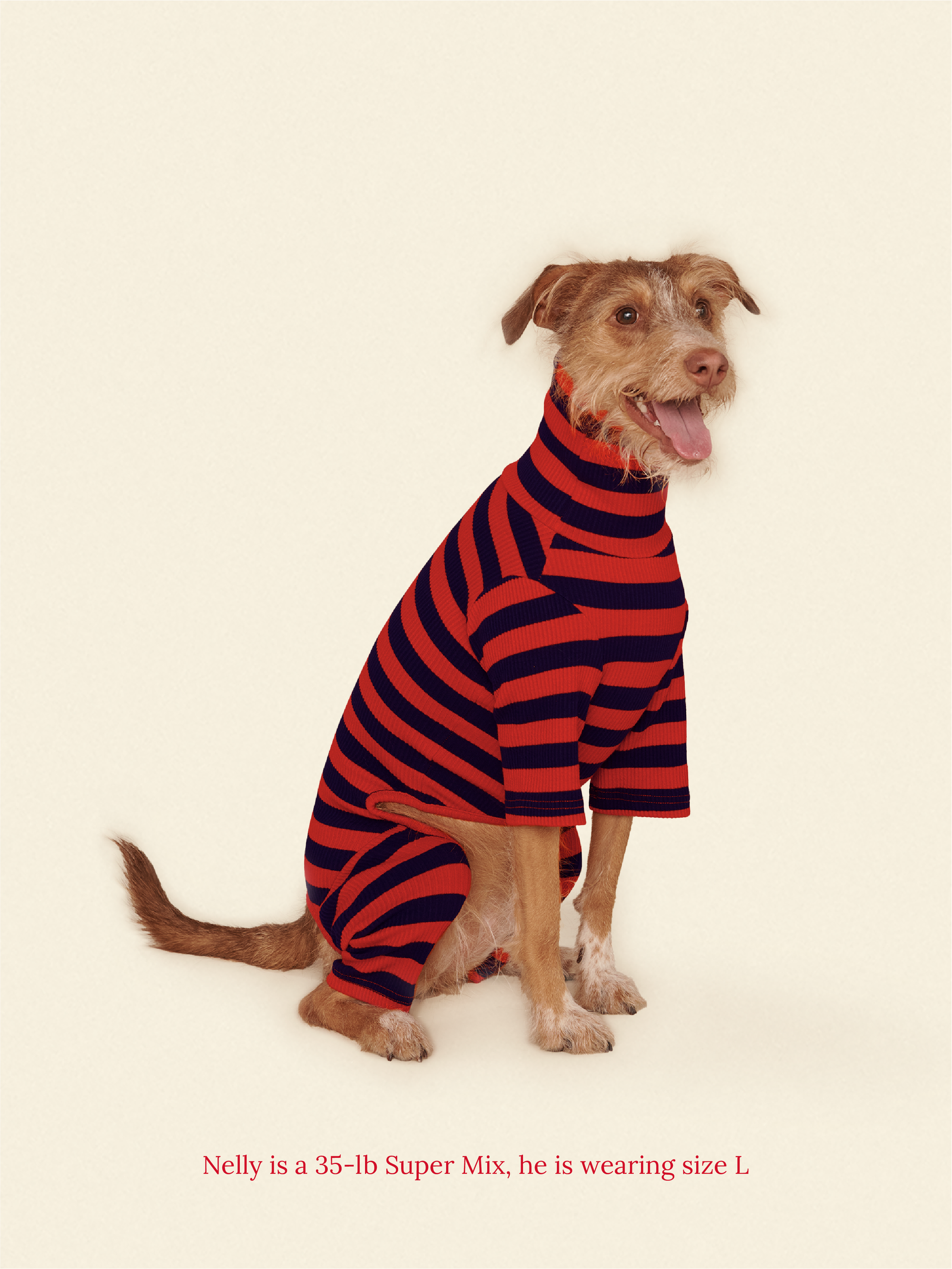 Little Beast Dog Onesie Ivy League Onesie