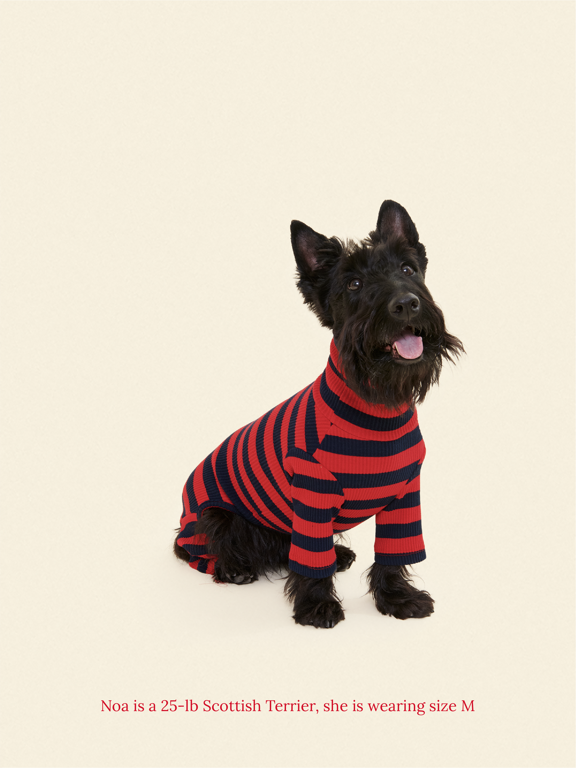 Little Beast Dog Onesie Ivy League Onesie