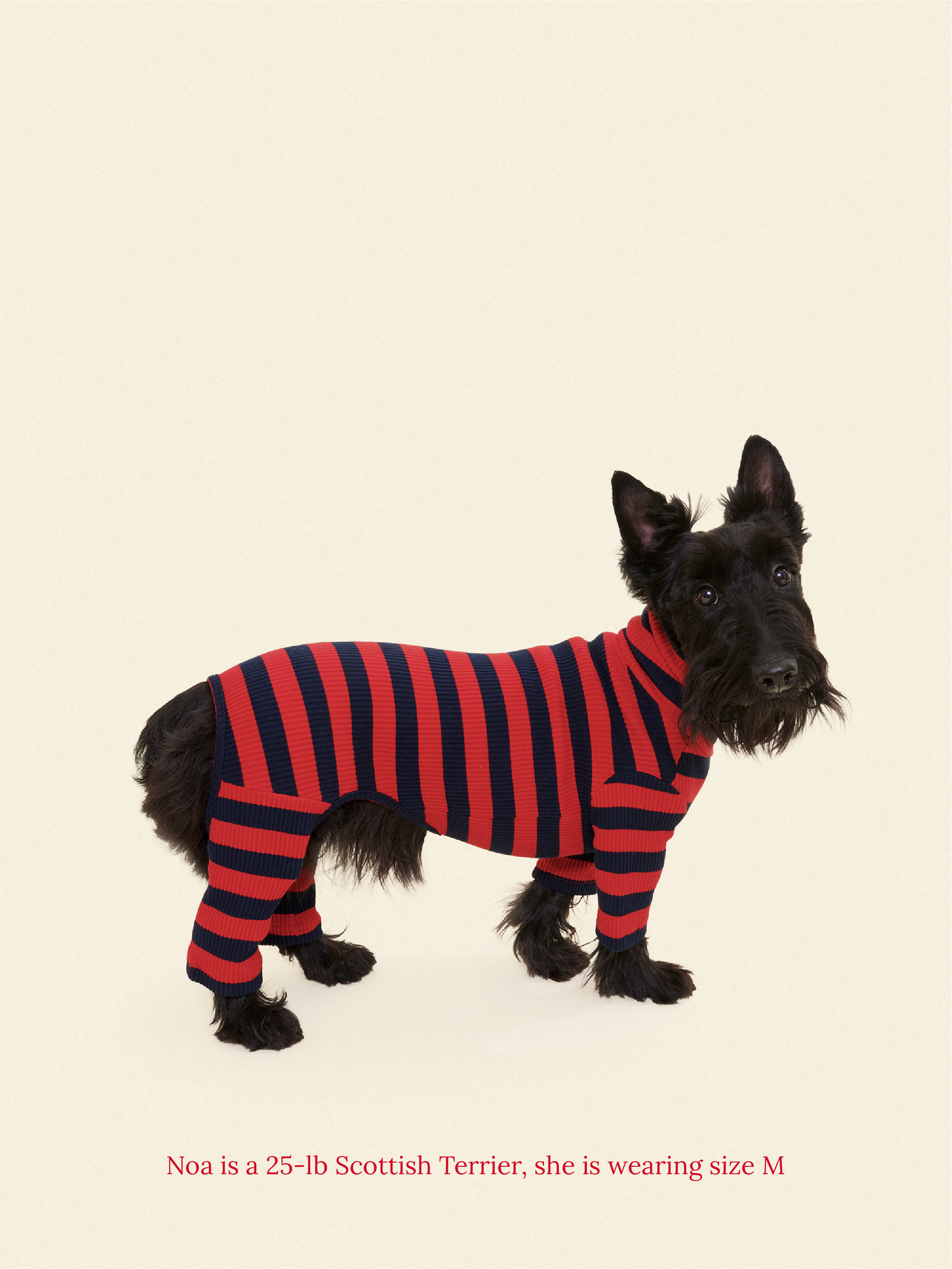 Little Beast Dog Onesie Ivy League Onesie