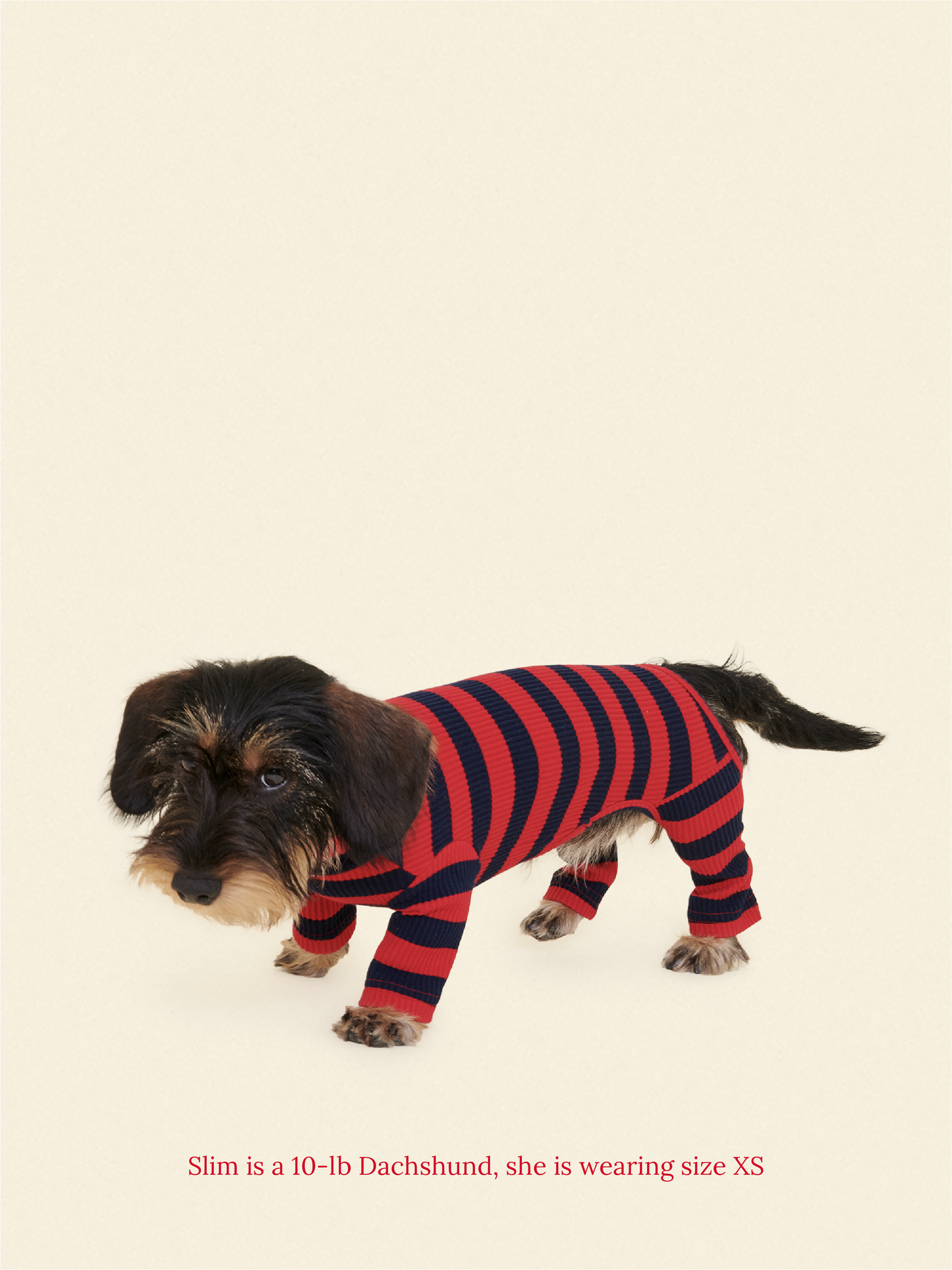Little Beast Dog Onesie Ivy League Onesie