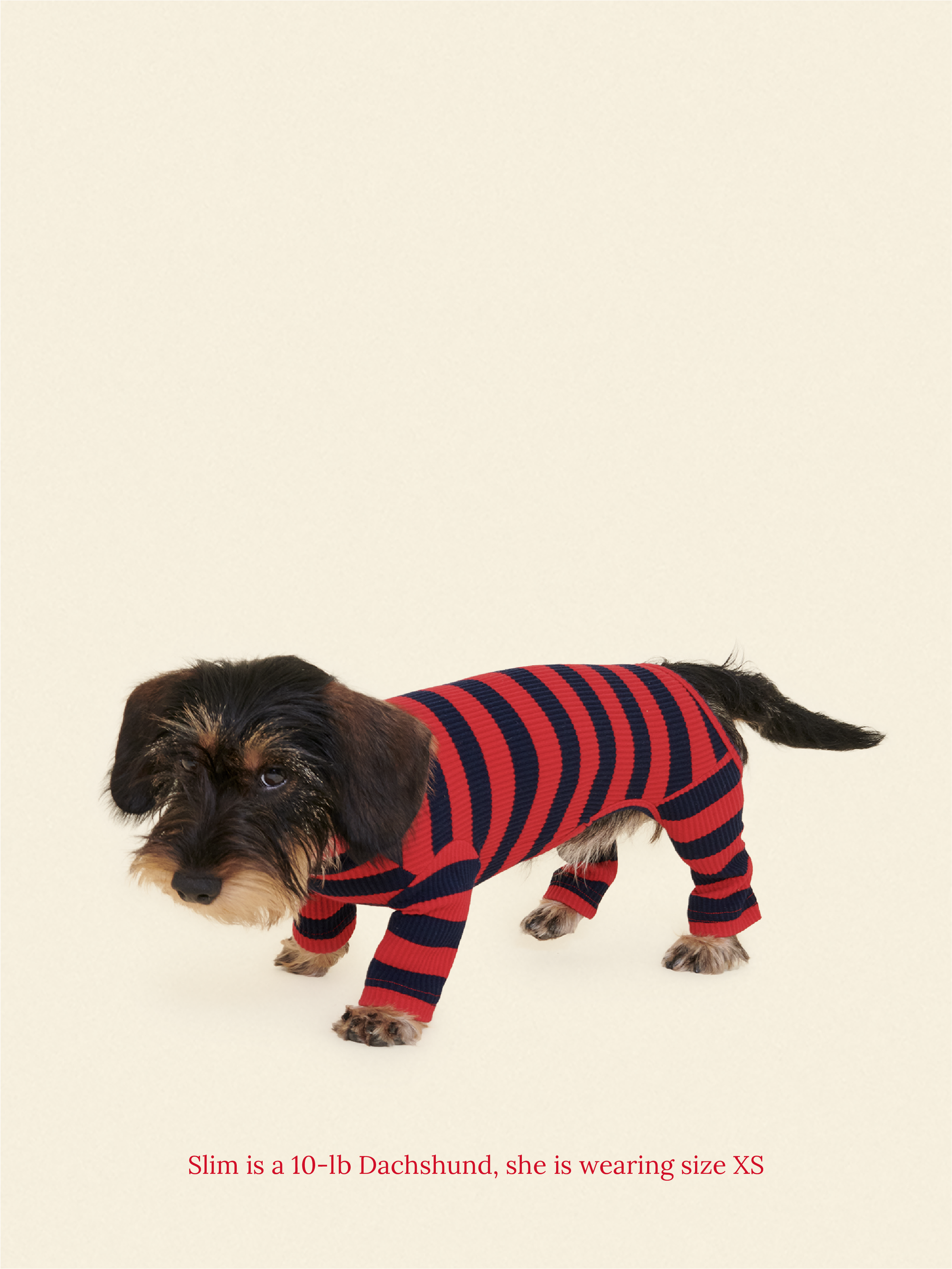 Little Beast Dog Onesie Ivy League Onesie