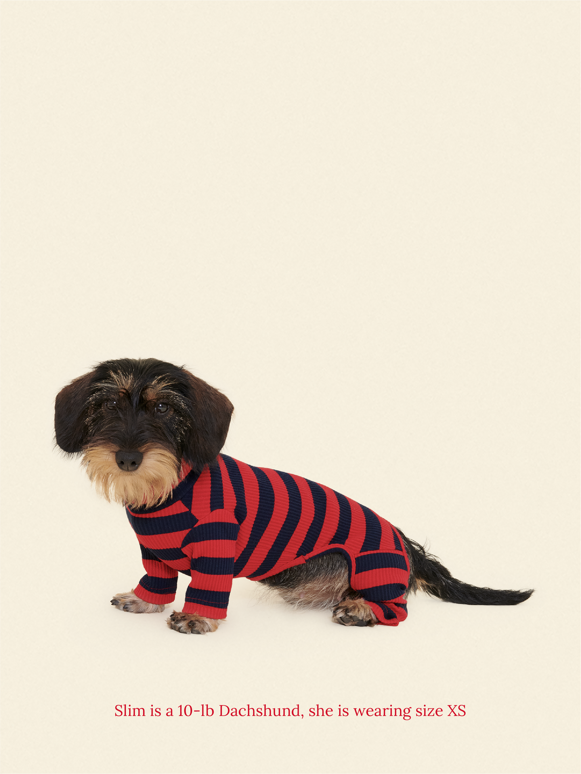 Little Beast Dog Onesie Ivy League Onesie
