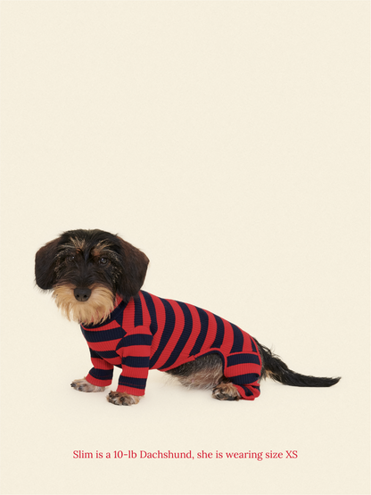Little Beast Dog Onesie Ivy League Onesie
