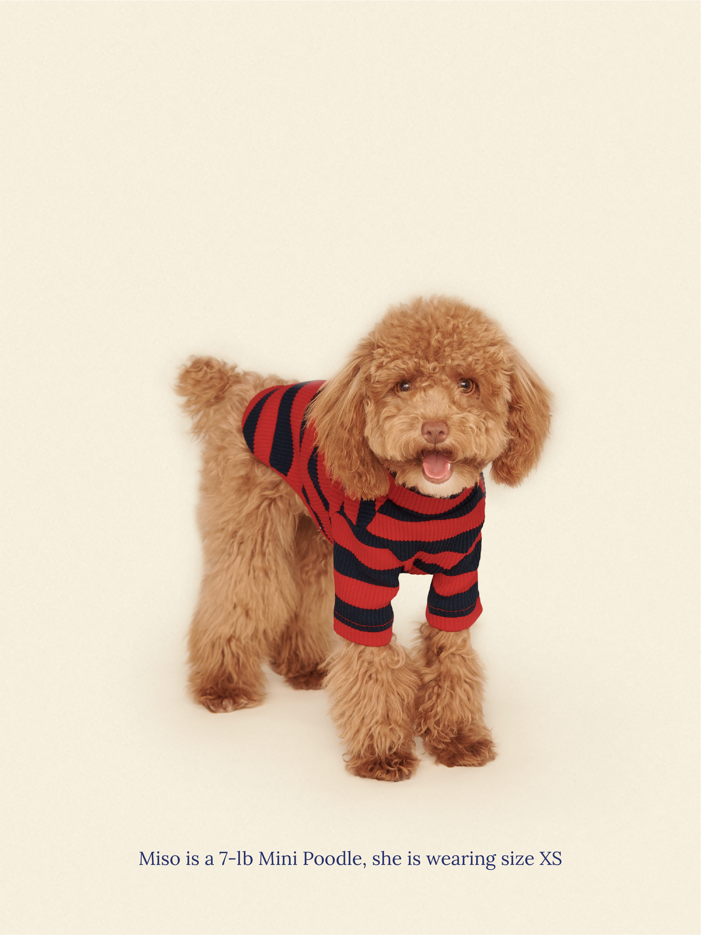 Little Beast Dog Shirt Ivy League Shirt