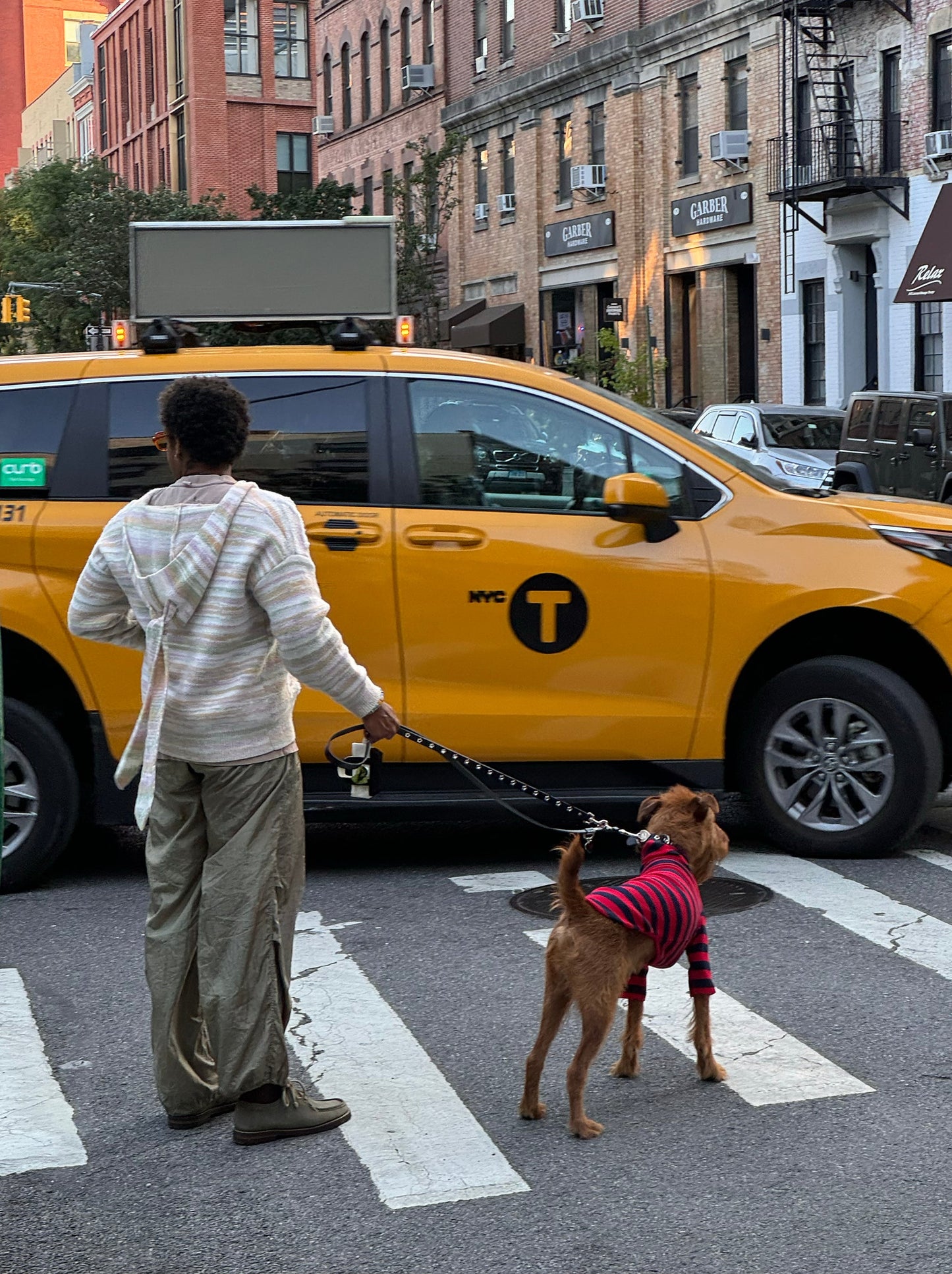 Little Beast Dog Shirt Ivy League Shirt