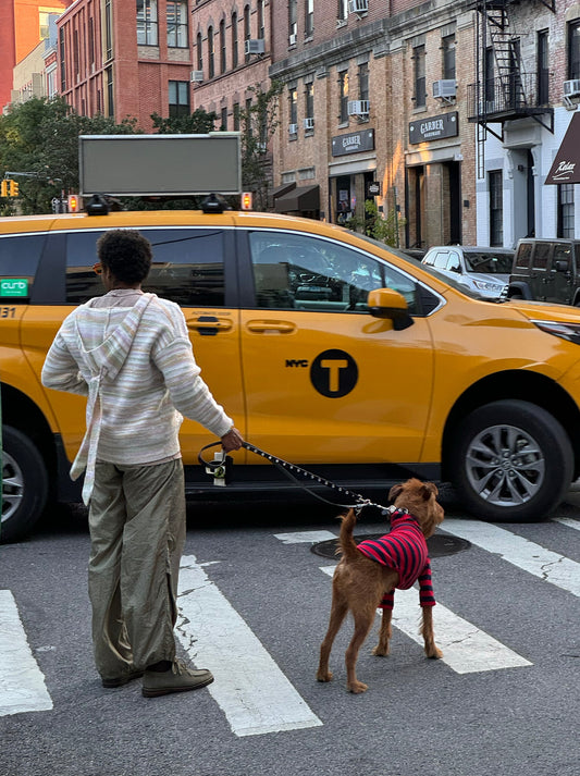 Little Beast Dog Shirt Ivy League Shirt