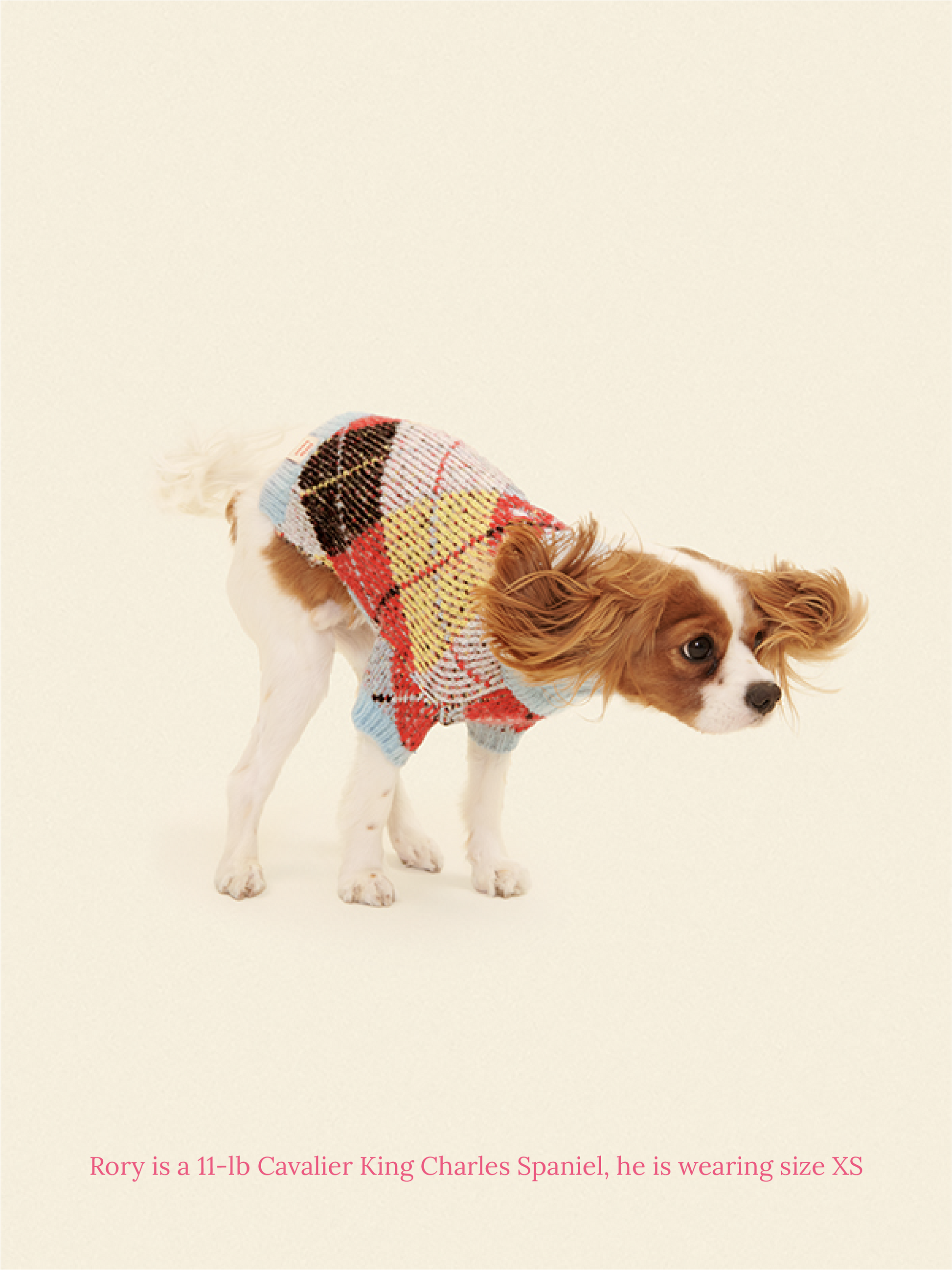 Little Beast Dog Sweater Lauda Cardi Cirque Sweater x Lisa Says Gah