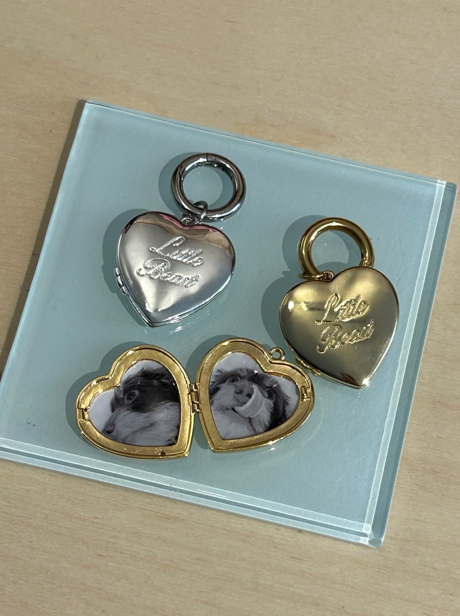 Little Beast Dog Collar LB Gold Pendant