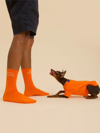 Little Beast Socks Little Beast Sock - Orange