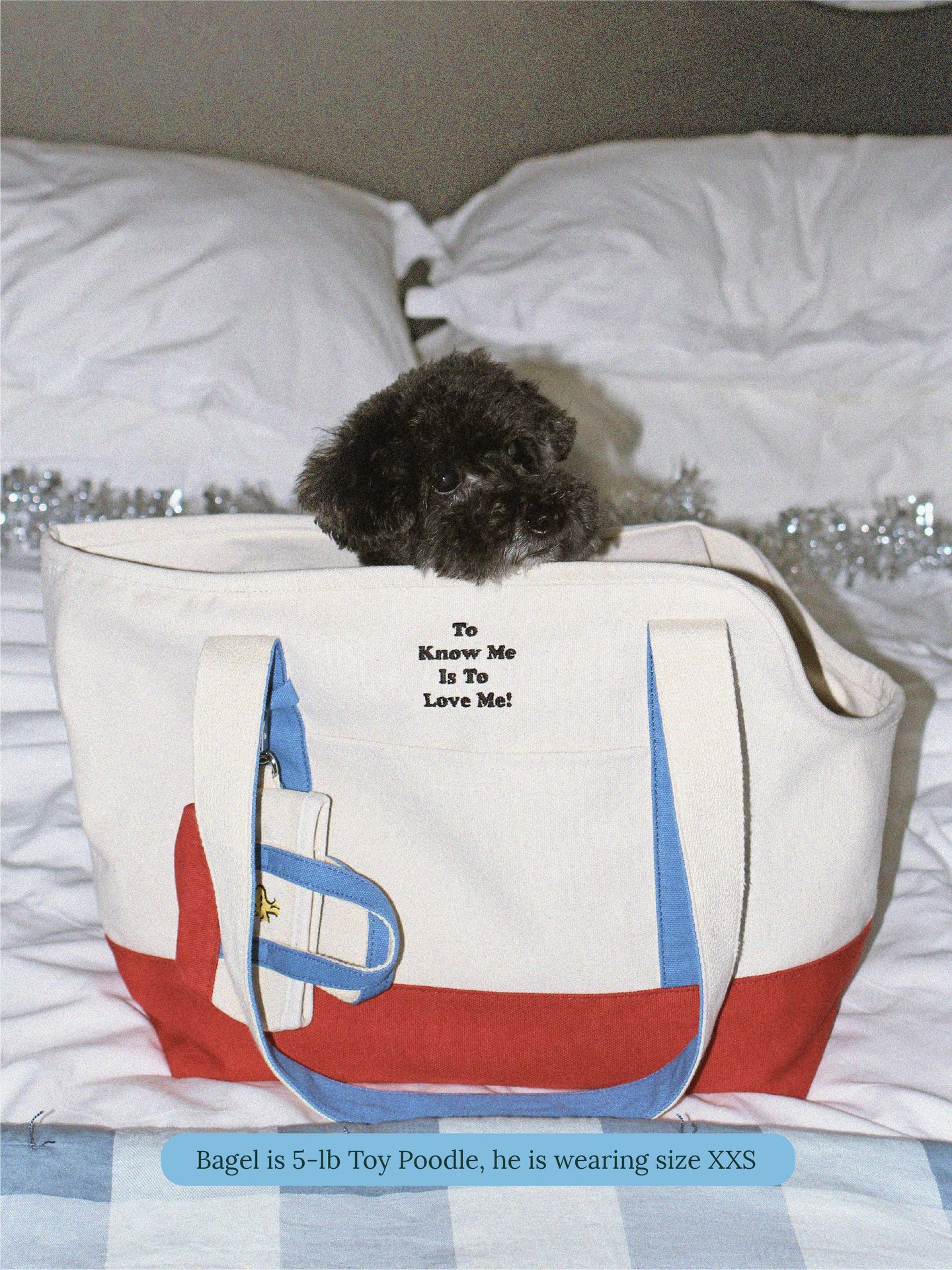 Little Beast Dog Carrier Red Blue / OS Love Drives Me Crazy Canvas Tote - PEANUTS