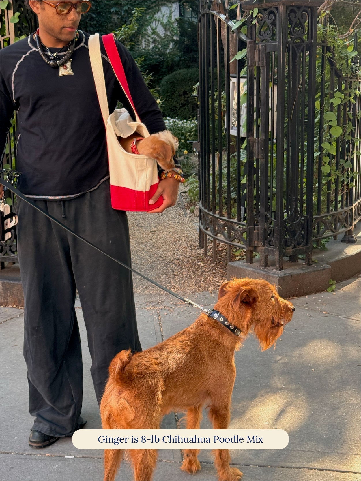 Little Beast Dog Carrier ONE SIZE LOVE DRIVES ME CRAZY - PEANUTS