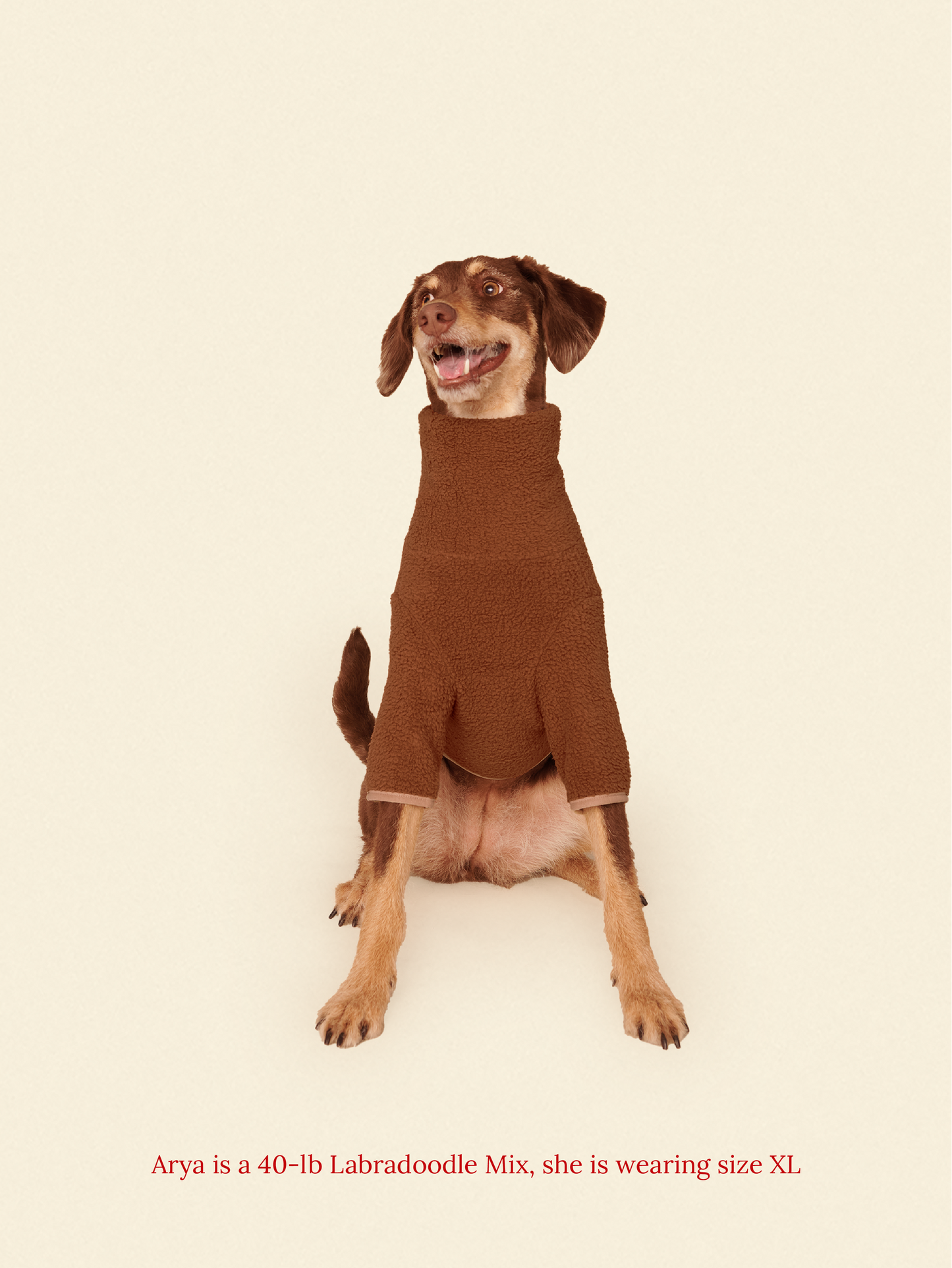 Little Beast Dog Fleece Shirt Magic Brownie Fleece Shirt