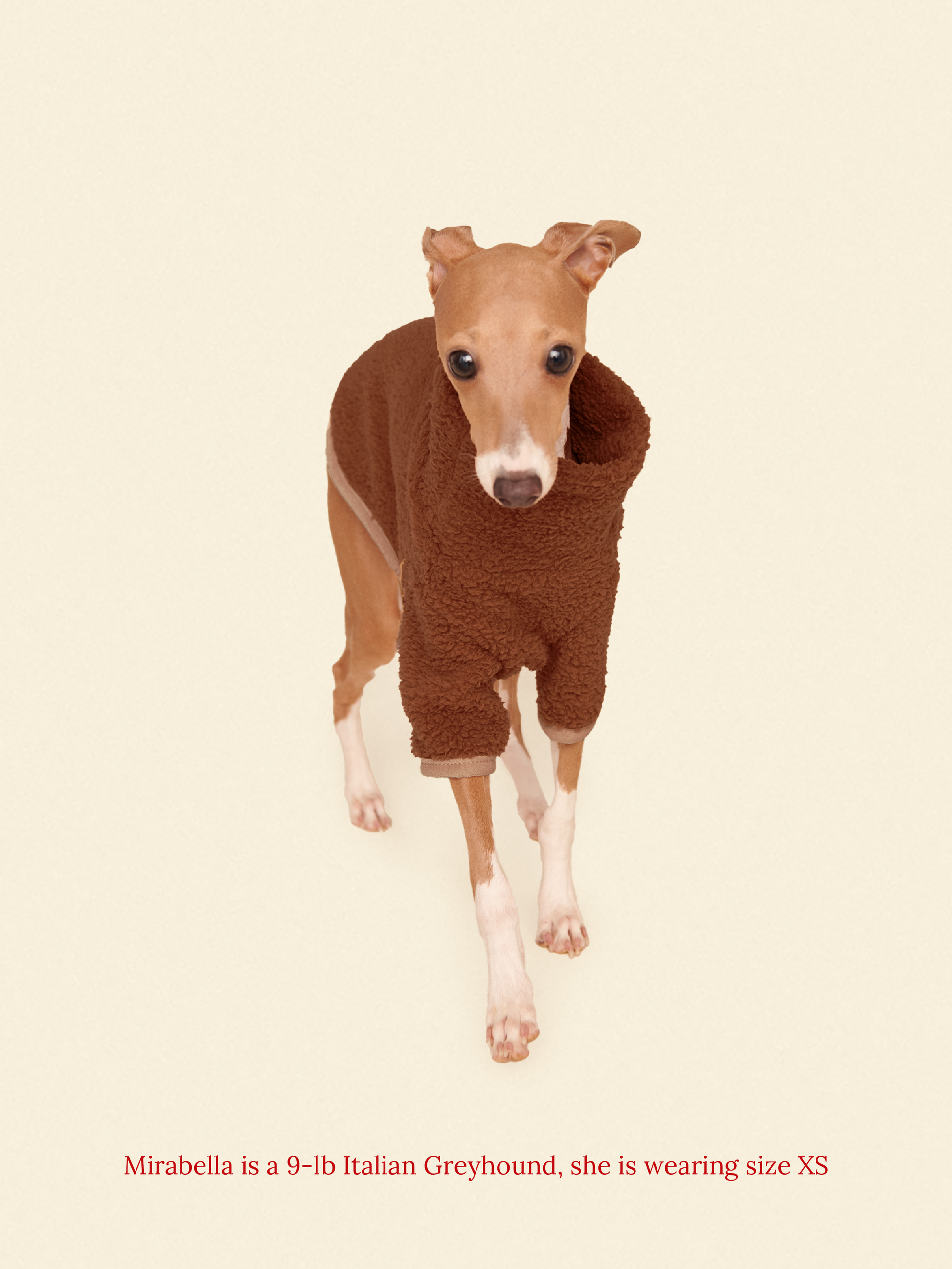 Little Beast Dog Fleece Shirt Magic Brownie Fleece Shirt