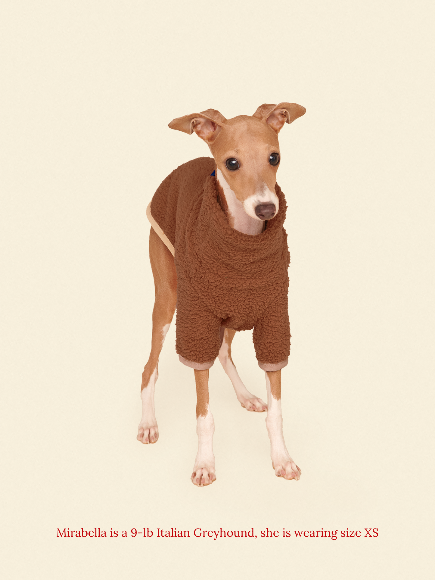 Little Beast Dog Fleece Shirt Magic Brownie Fleece Shirt