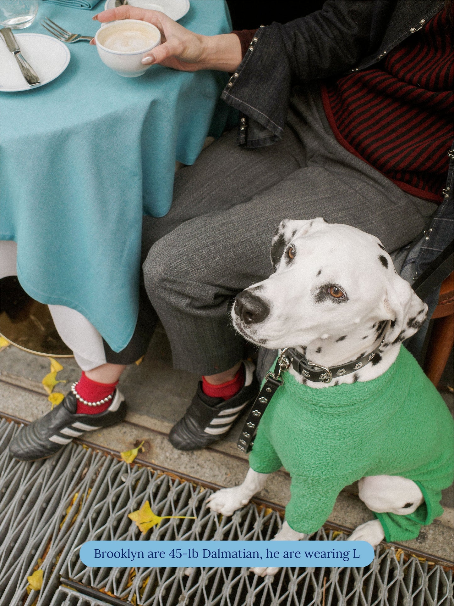 Little Beast Dog Collar Midnight - Flower Power Collar