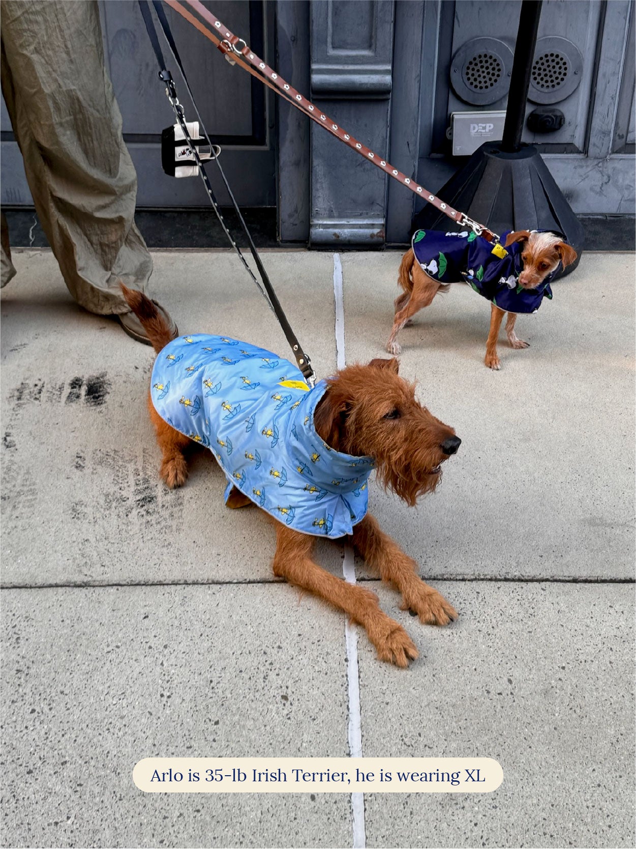 Little Beast Dog Raincoat Peanut Raincoat - Navy