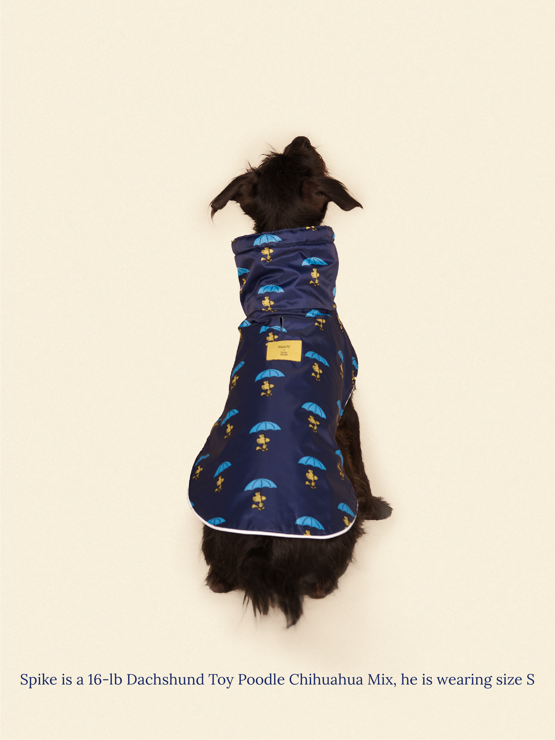Little Beast Dog Raincoat Peanut Raincoat - Navy