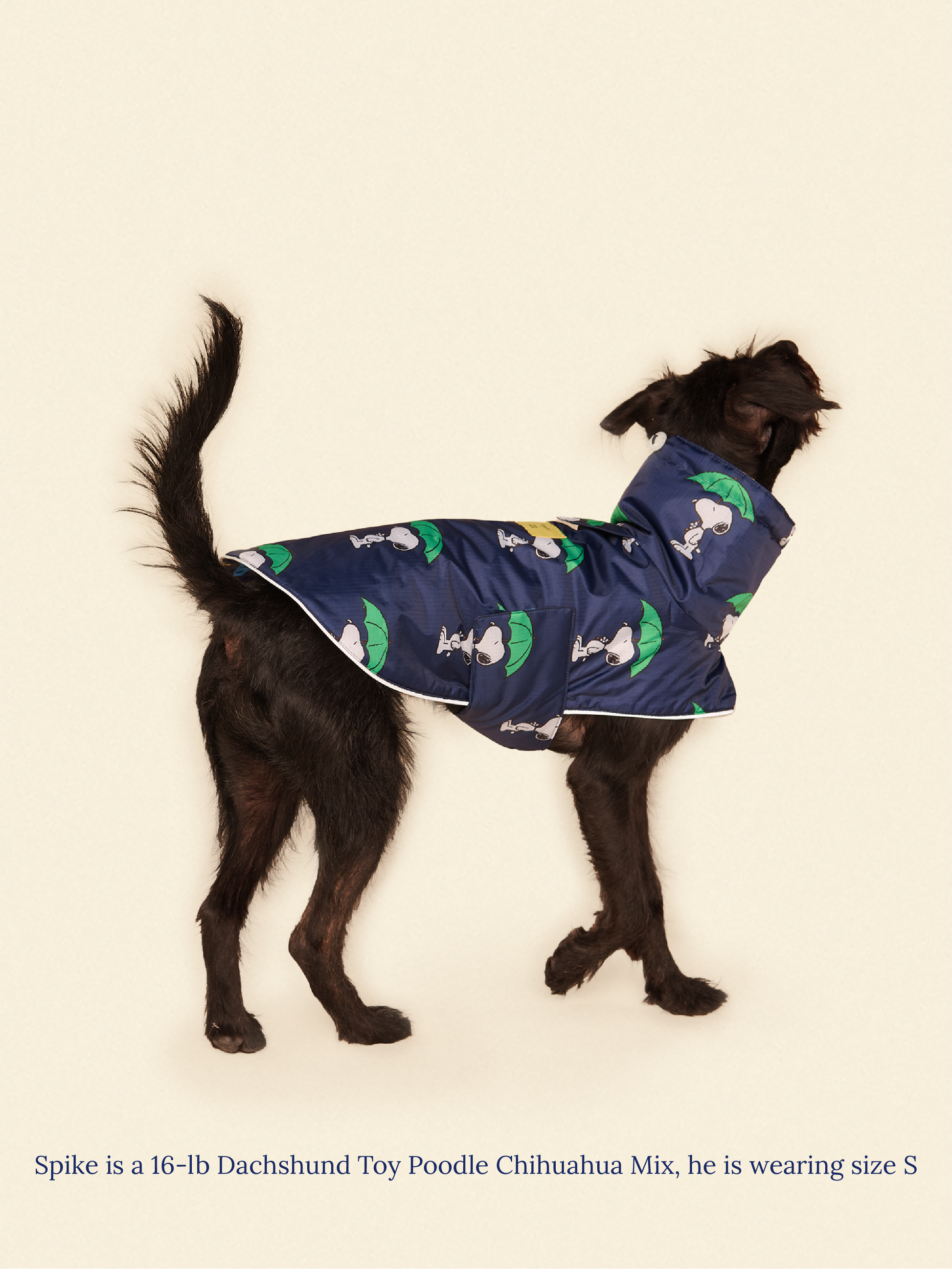 Little Beast Dog Raincoat Peanut Raincoat - Navy