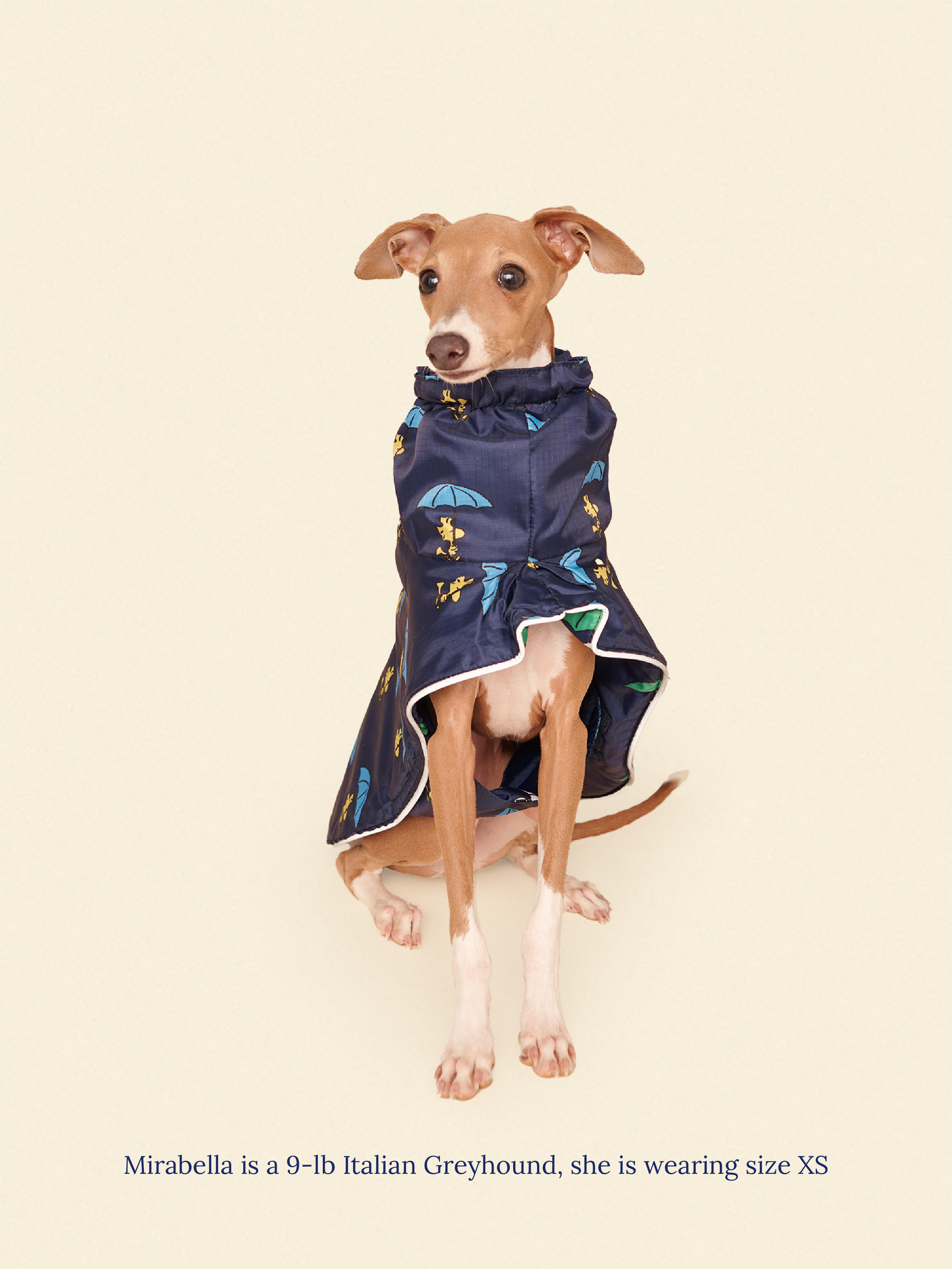 Little Beast Dog Raincoat Peanut Raincoat - Navy