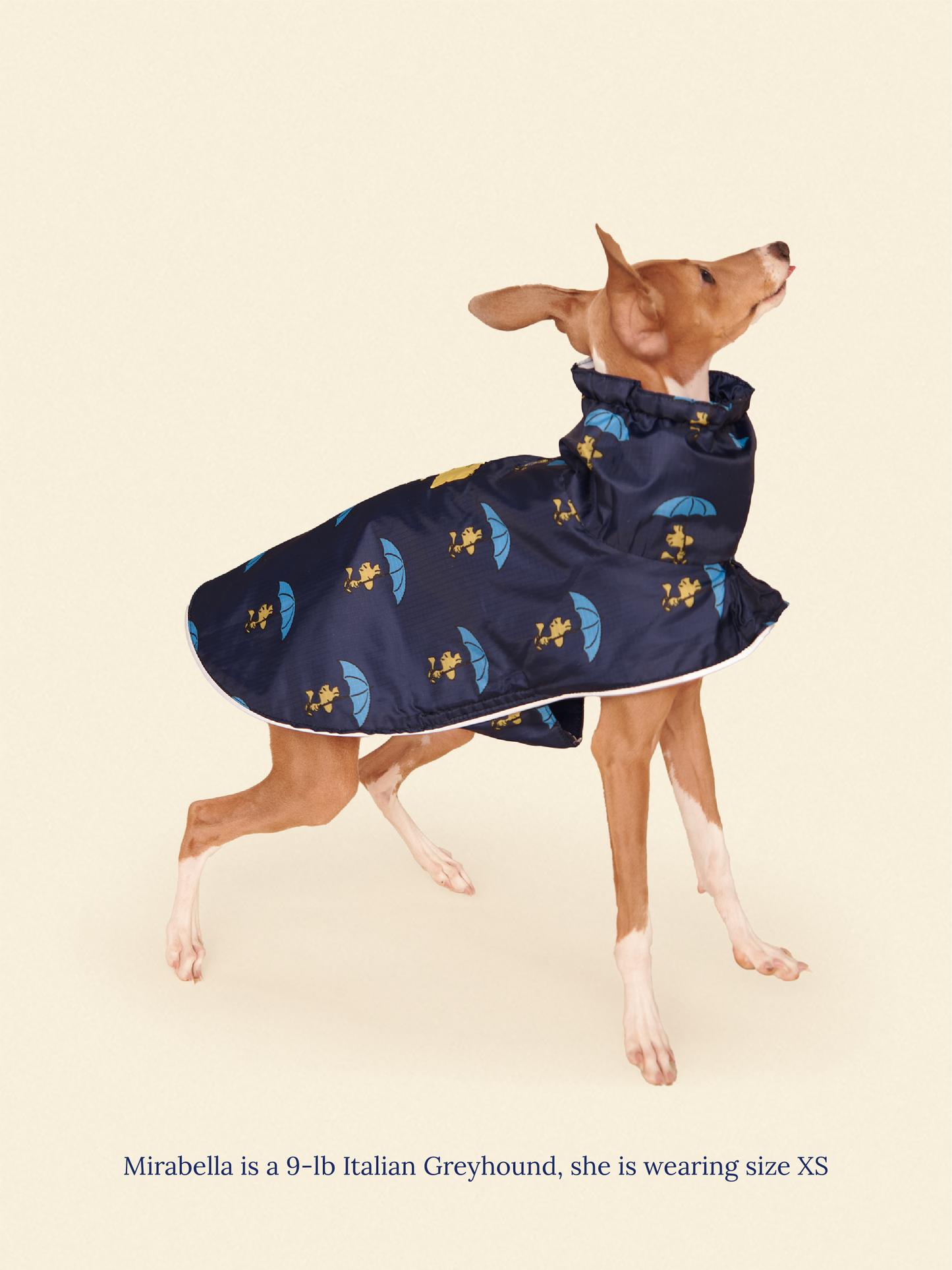 Little Beast Dog Raincoat Peanut Raincoat - Navy