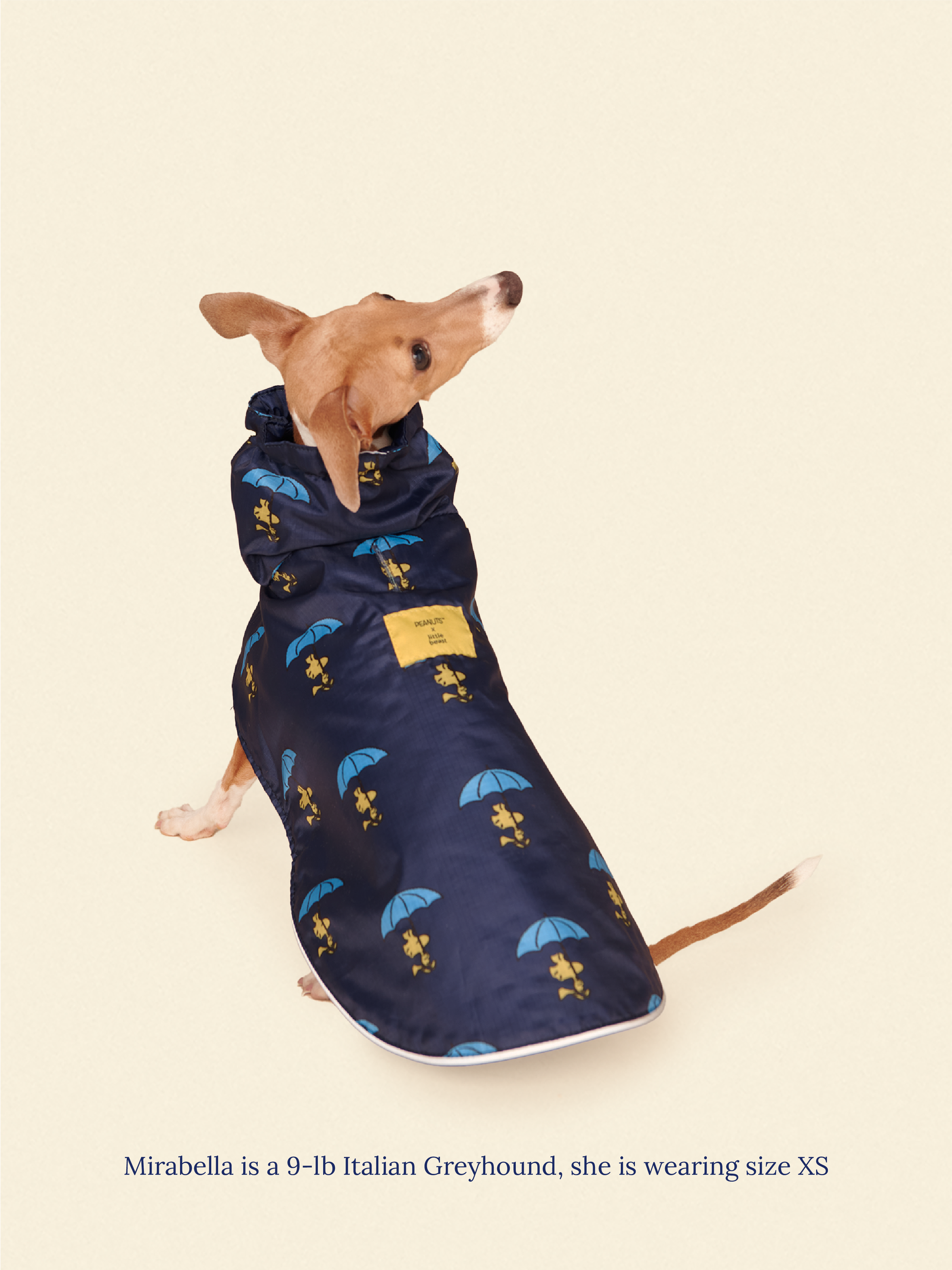 Little Beast Dog Raincoat Peanut Raincoat - Navy