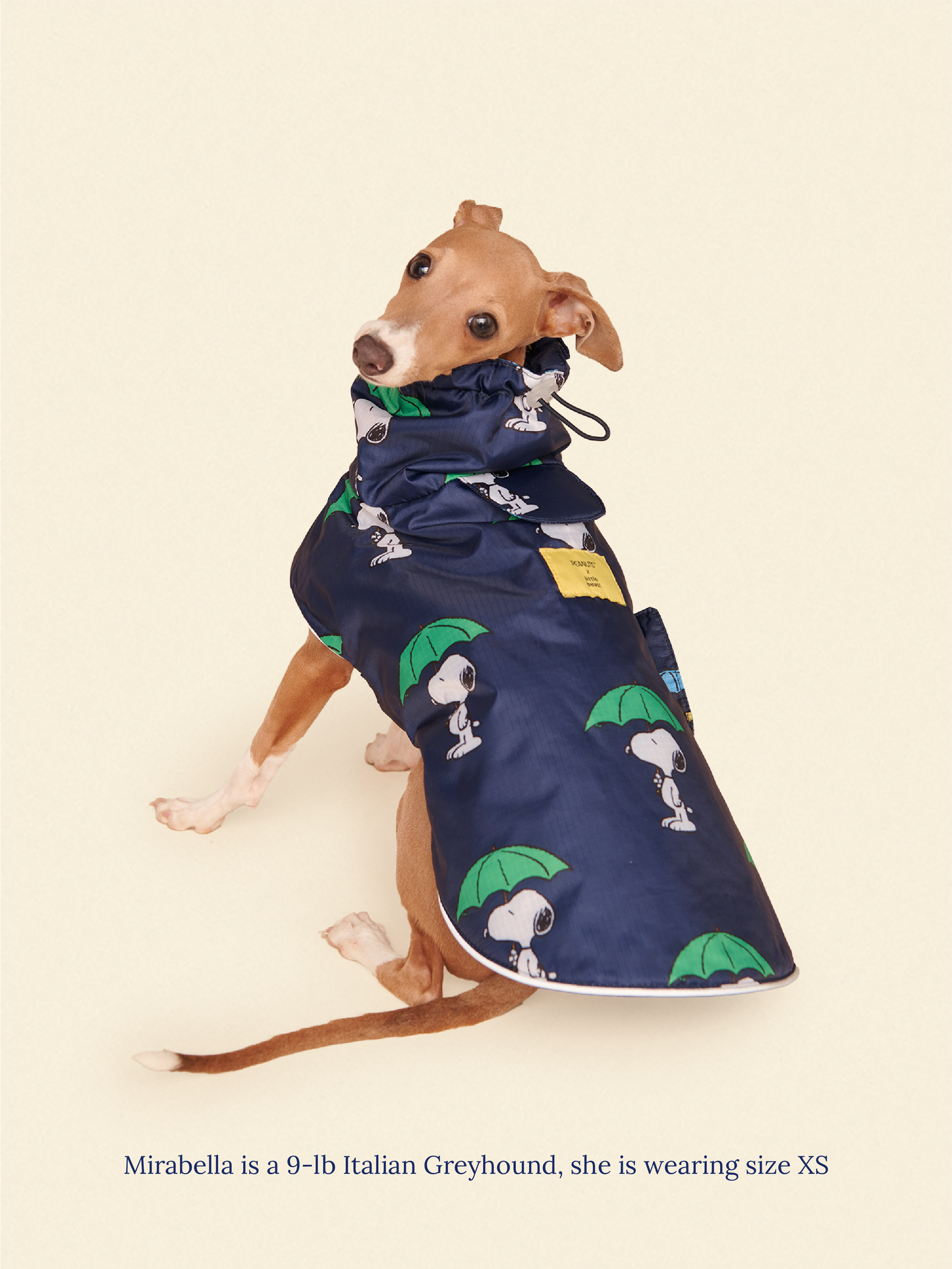 Little Beast Dog Raincoat Peanut Raincoat - Navy