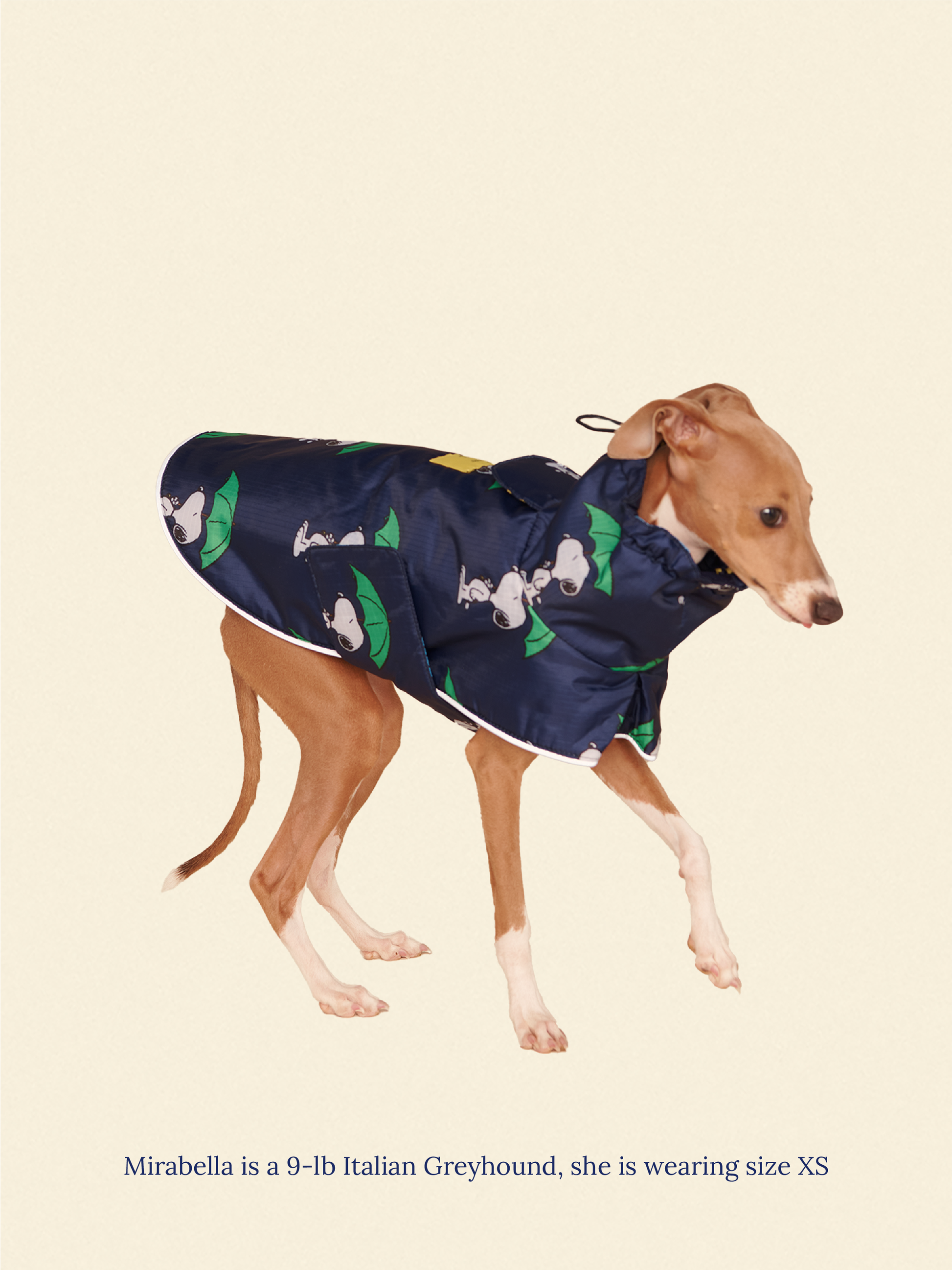 Little Beast Dog Raincoat Peanut Raincoat - Navy