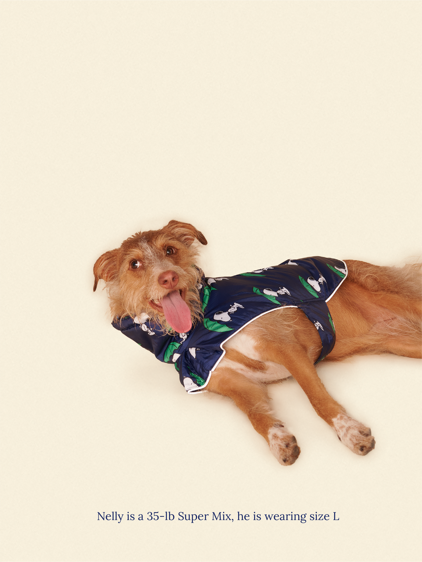 Little Beast Dog Raincoat Peanut Raincoat - Navy