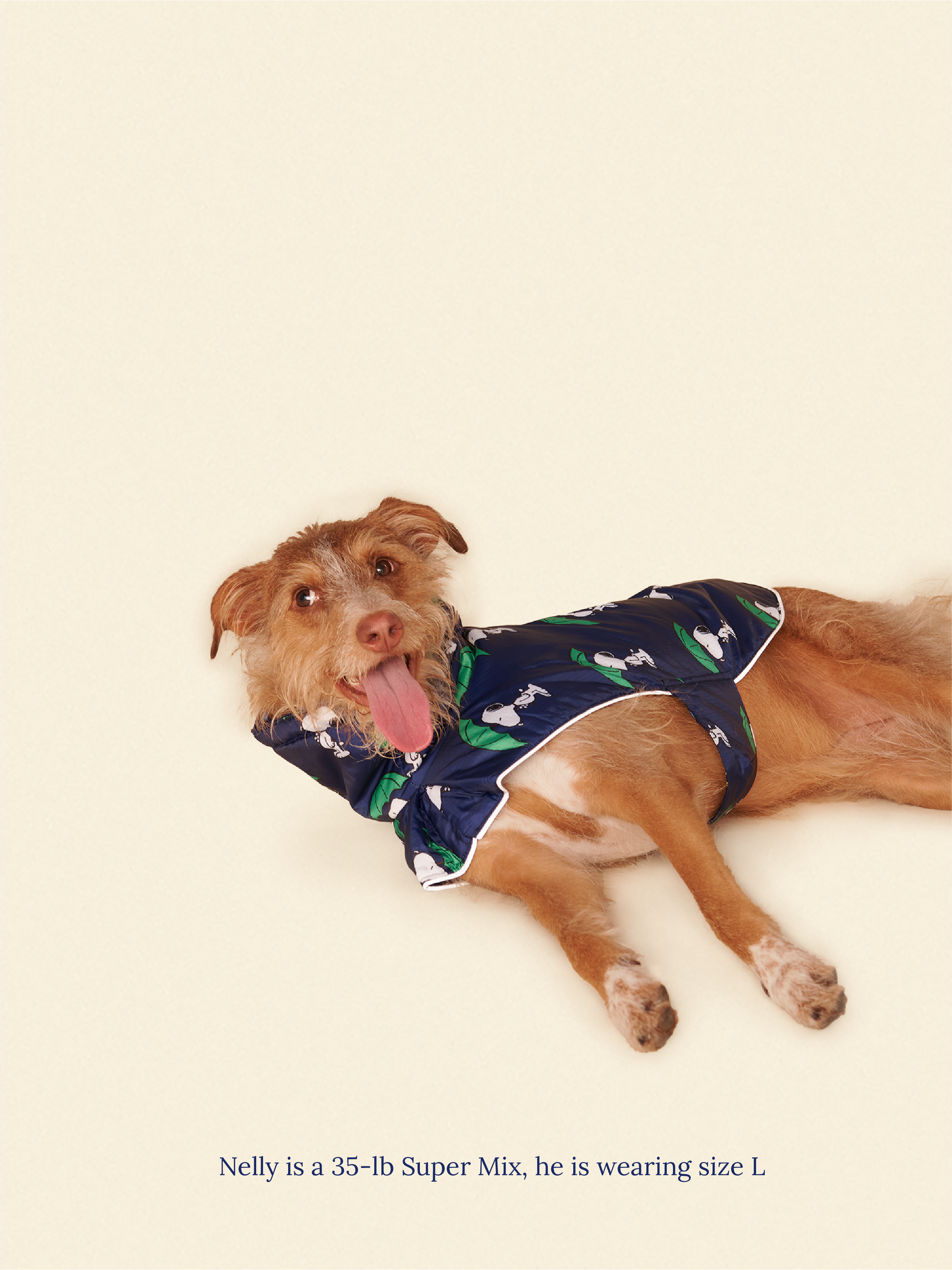 Little Beast Dog Raincoat Peanut Raincoat - Navy