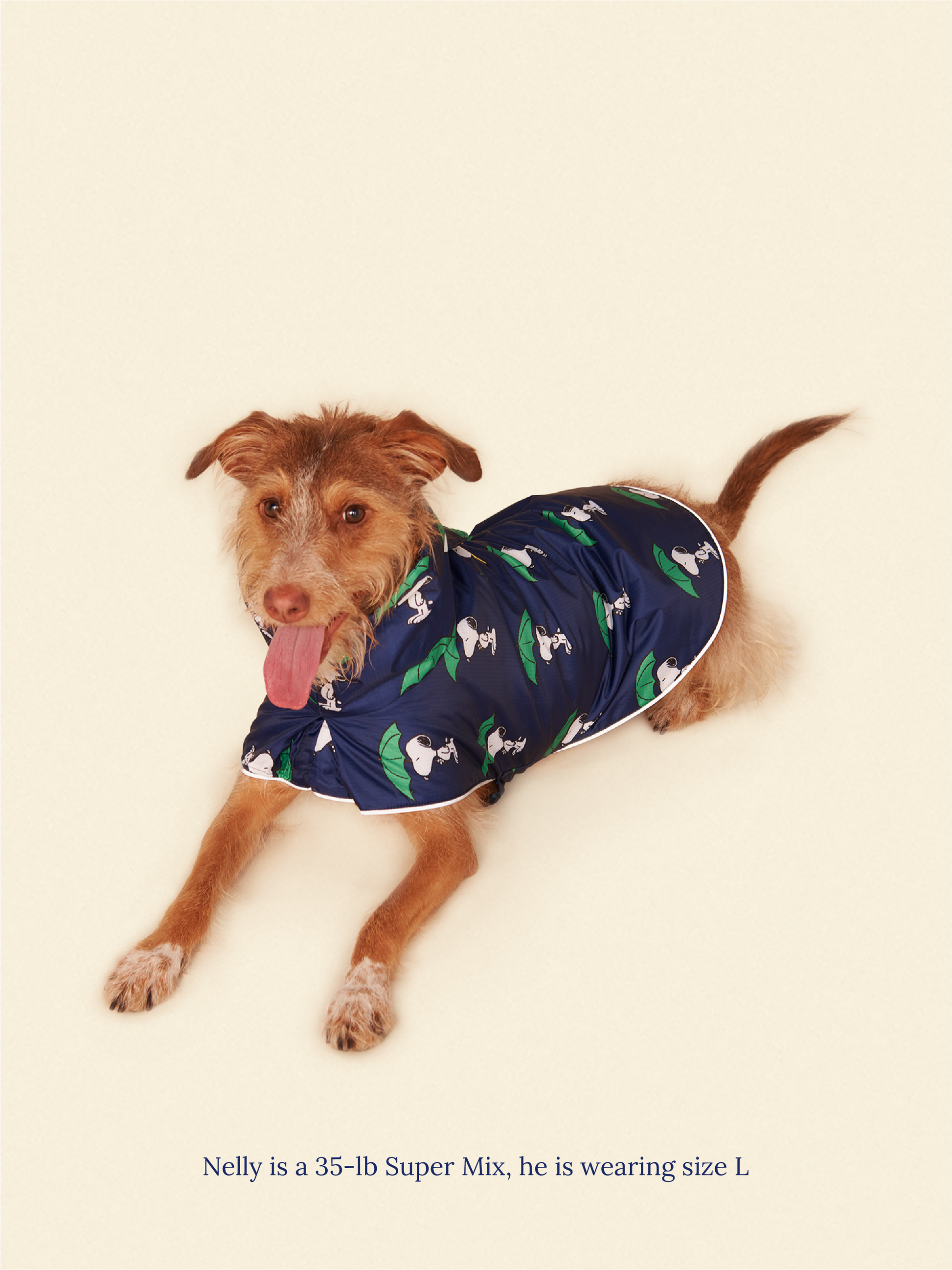 Little Beast Dog Raincoat Peanut Raincoat - Navy