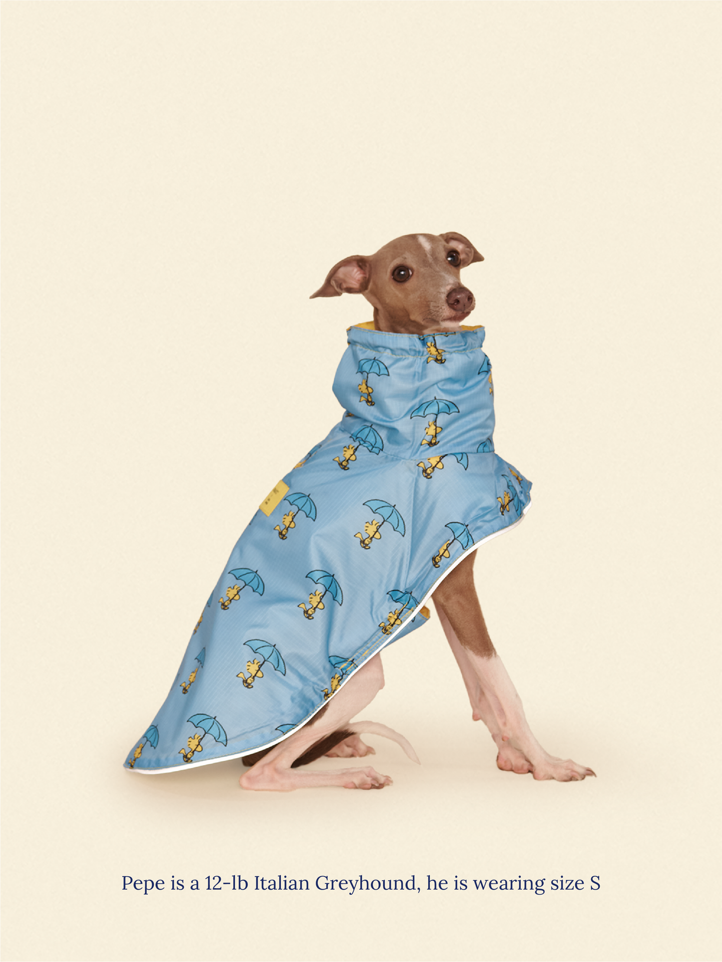 Little Beast Dog Raincoat Peanut Raincoat - Yellow