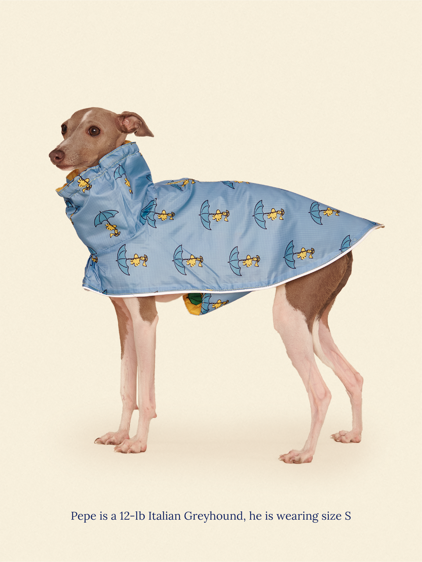 Little Beast Dog Raincoat Peanut Raincoat - Yellow