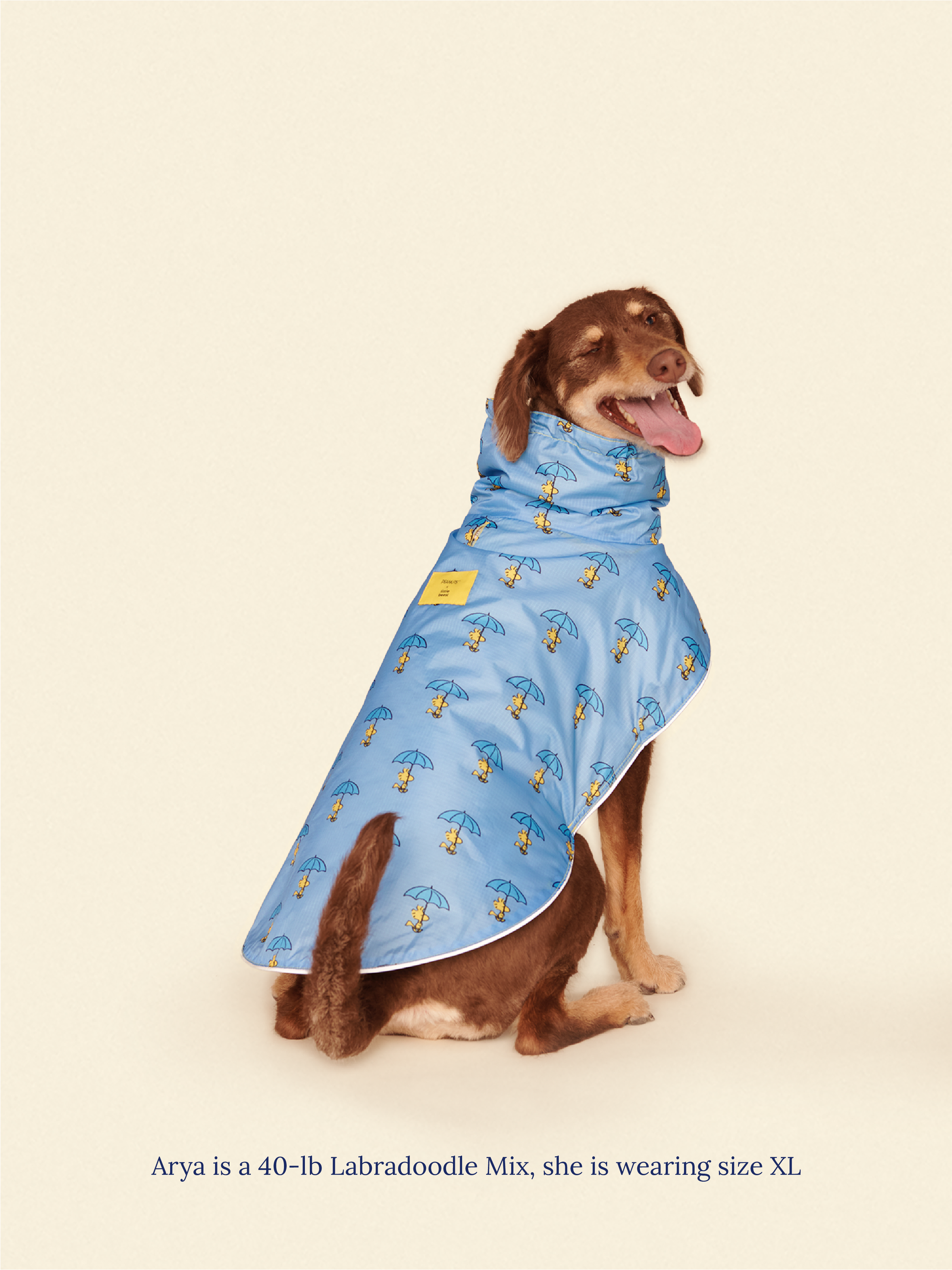 Little Beast Dog Raincoat Peanut Raincoat - Yellow