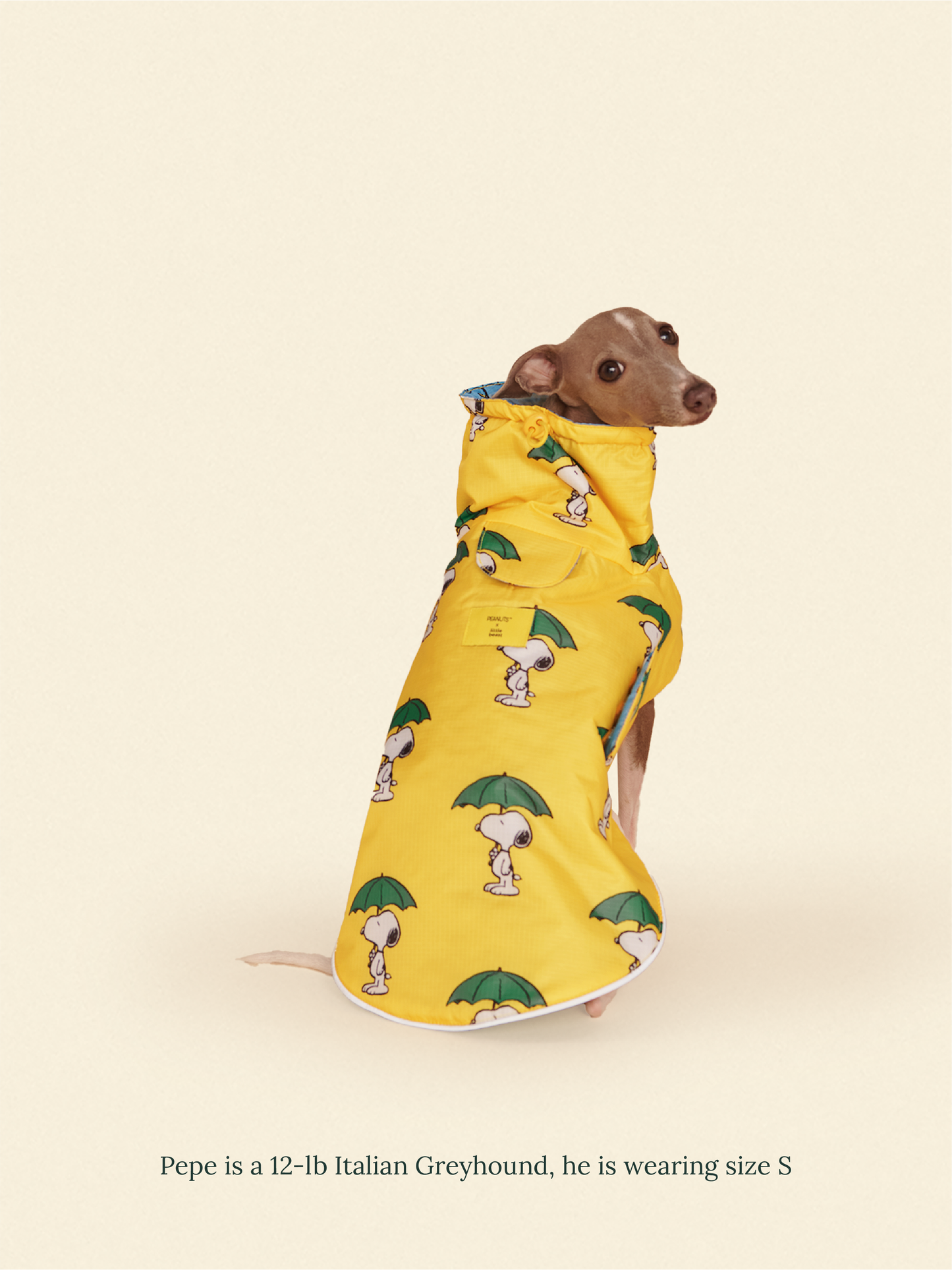 Little Beast Dog Raincoat Peanut Raincoat - Yellow