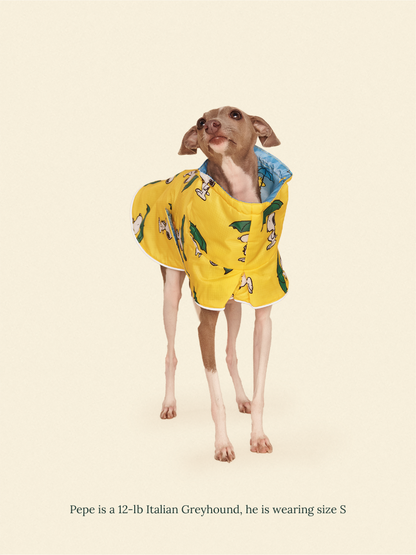 Little Beast Dog Raincoat Peanut Raincoat - Yellow