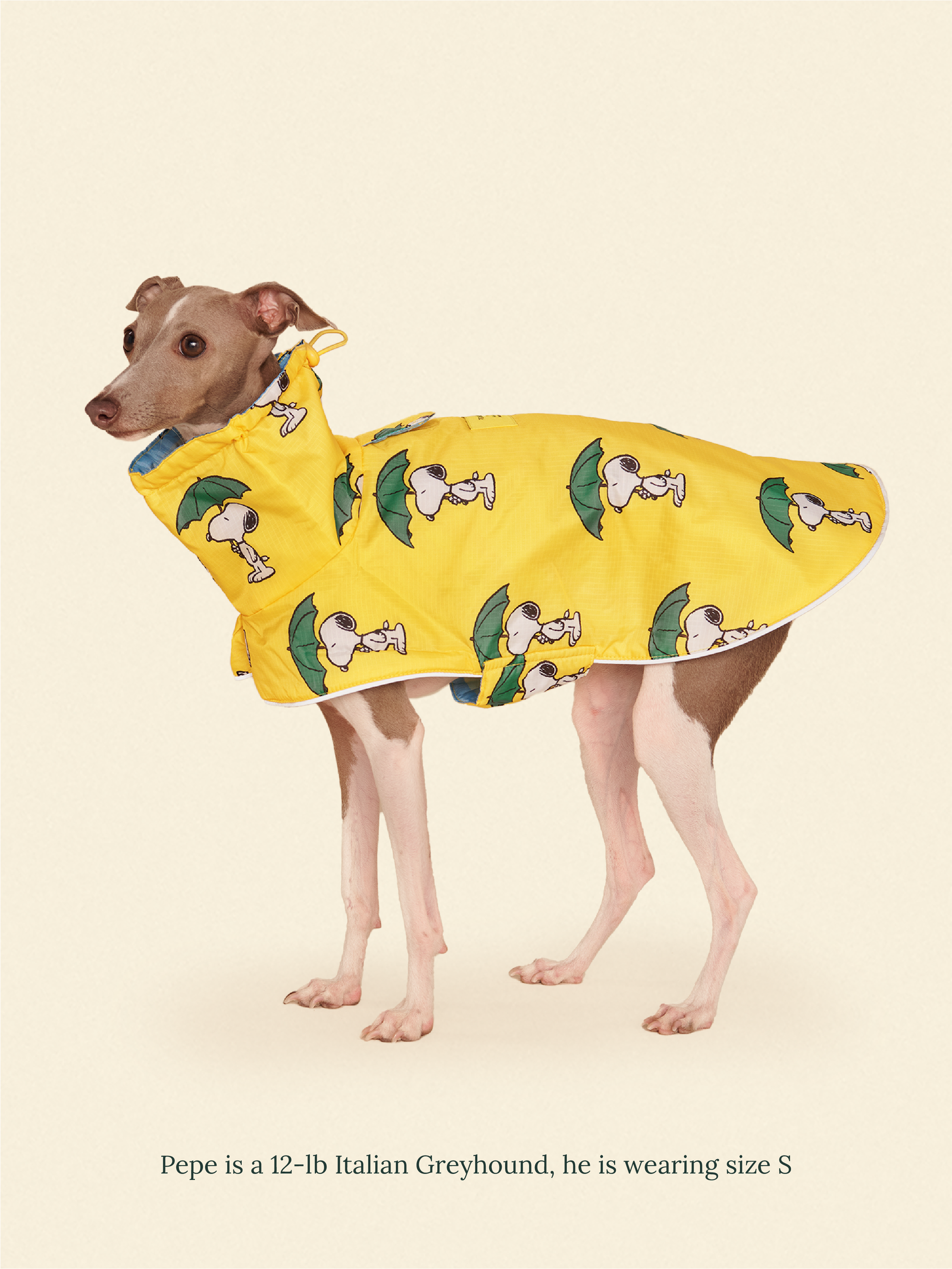 Little Beast Dog Raincoat Peanut Raincoat - Yellow