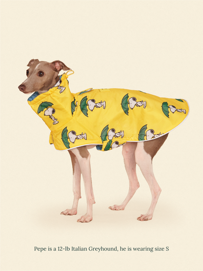 Little Beast Dog Raincoat Peanut Raincoat - Yellow
